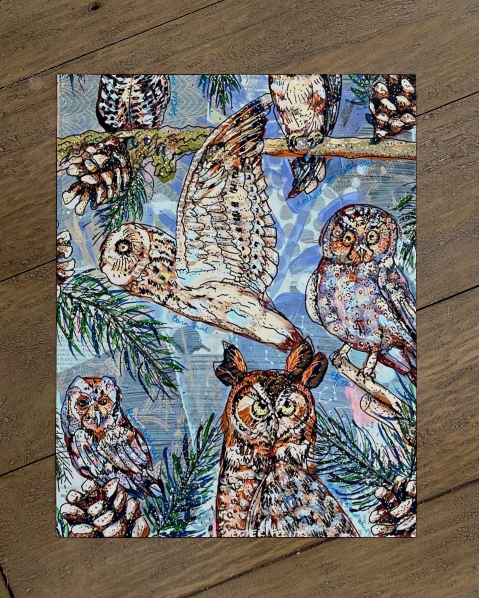 Owl Specimens - Limited Edition Print