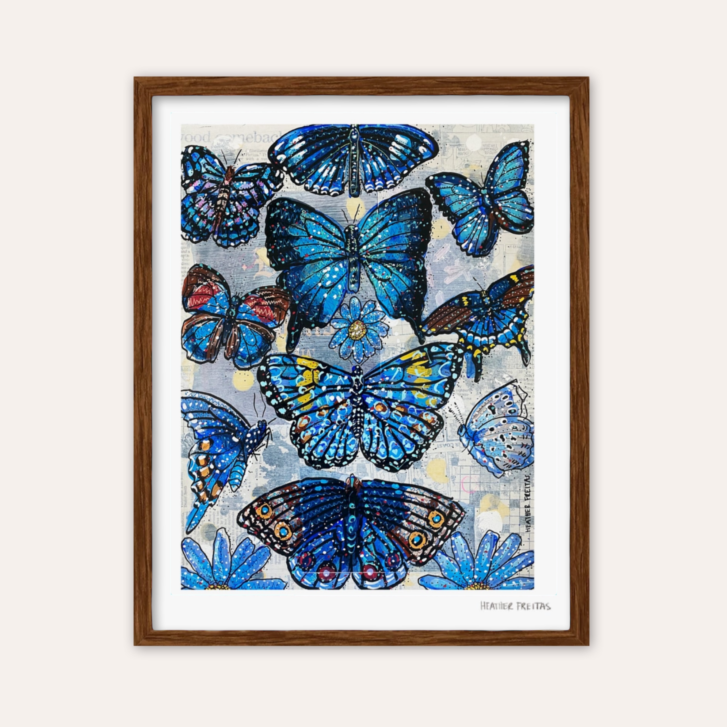 Blue Butterfly Species Fine Art Print