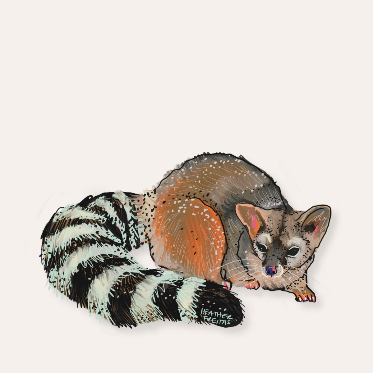 Ringtail Cat Sticker