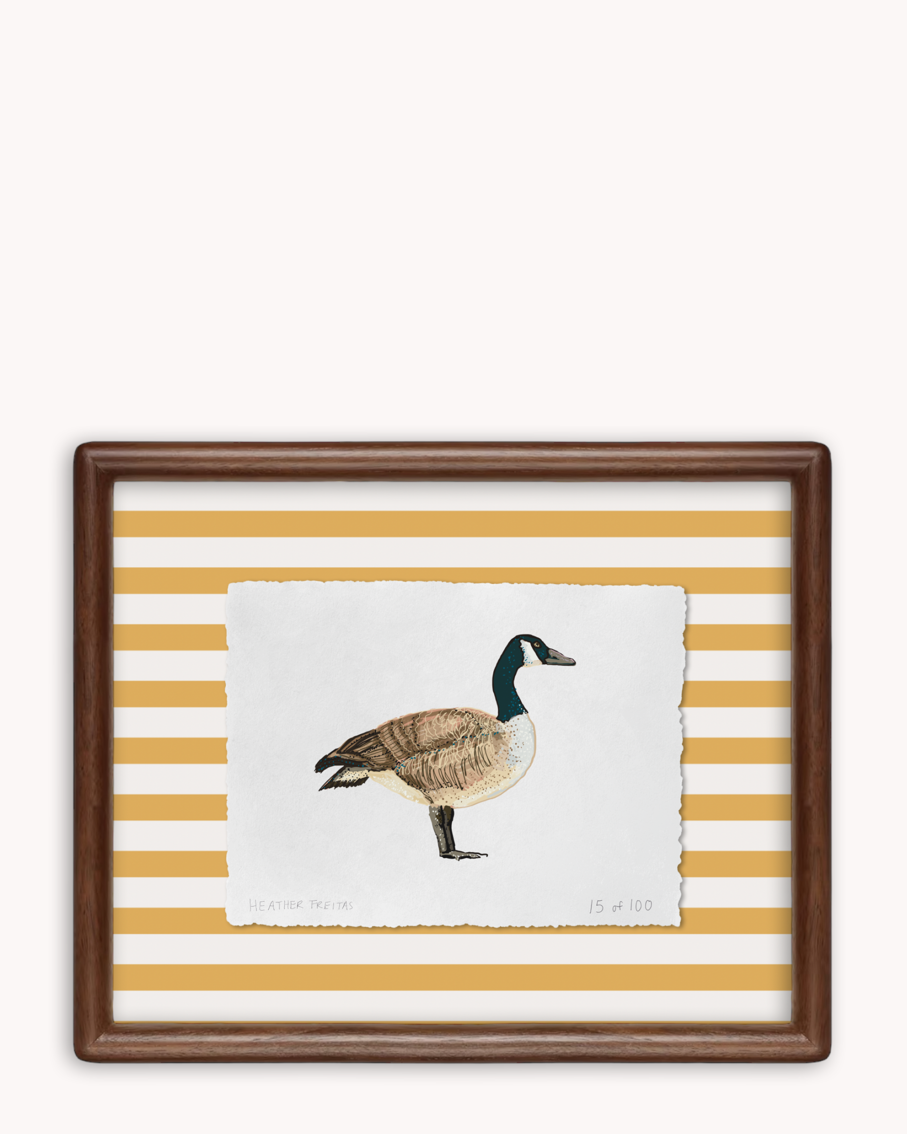 Goose Limited Edition Framed Print