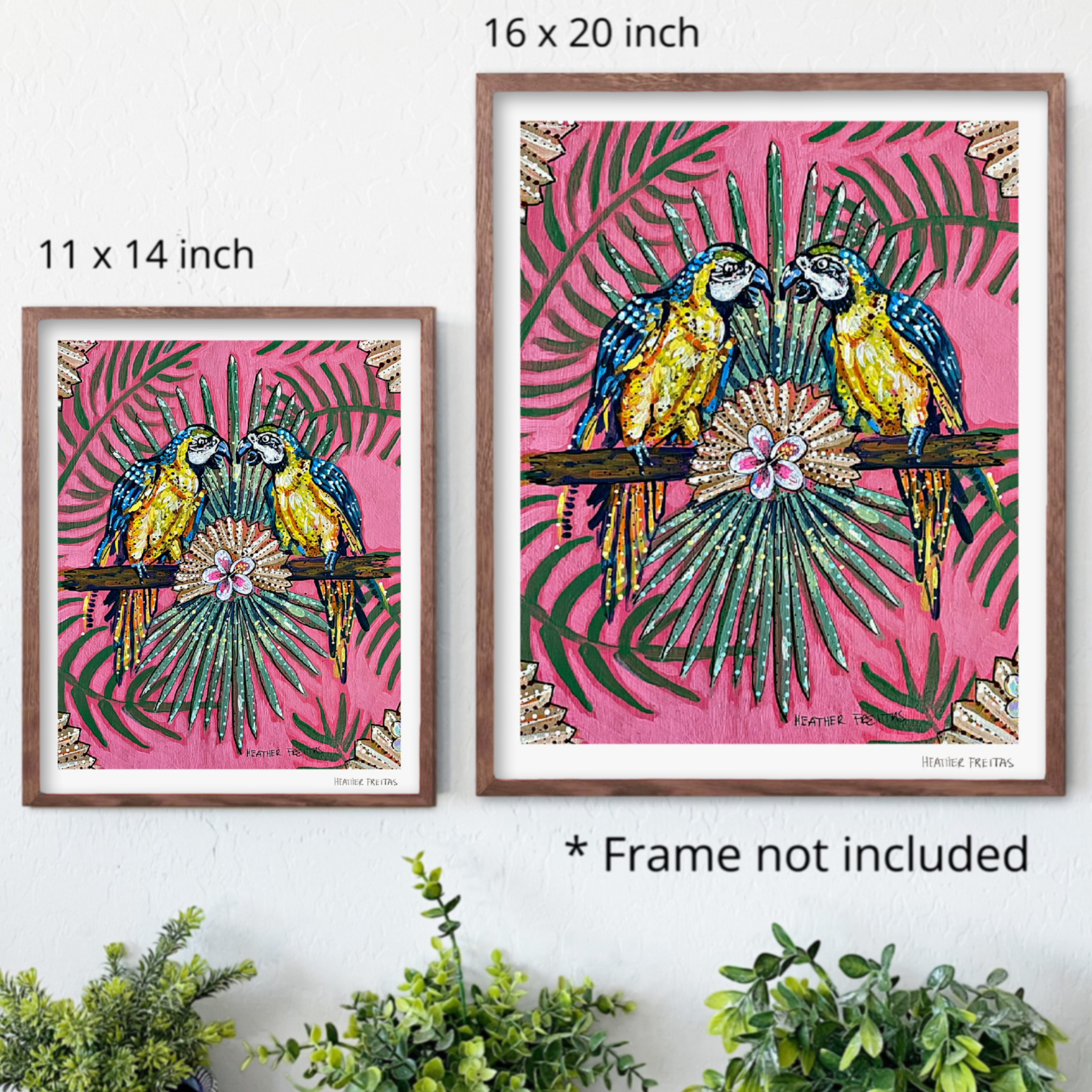 Parrot Paradise Fine Art Print