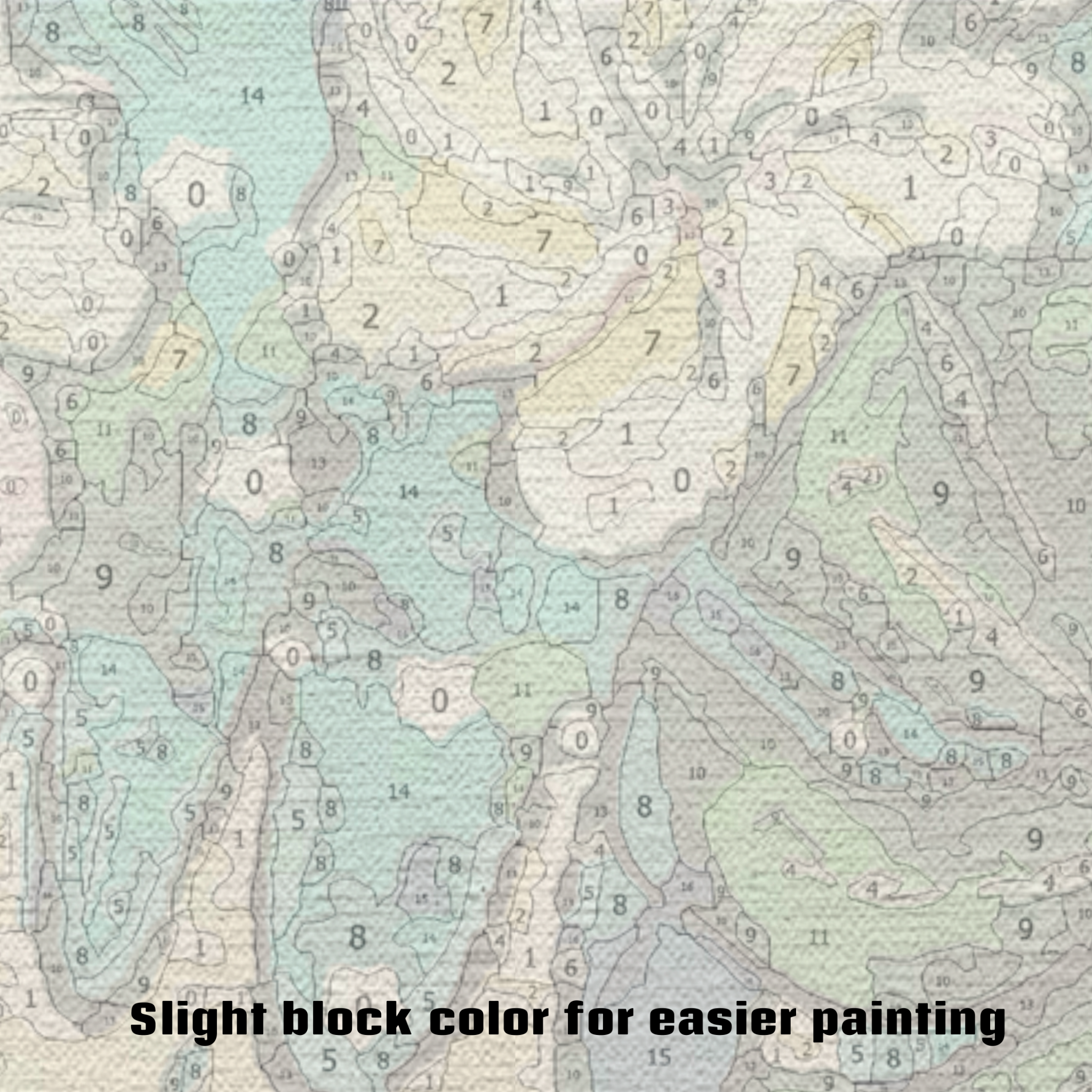 Flower The King Cat - Paint by Numbers Kit