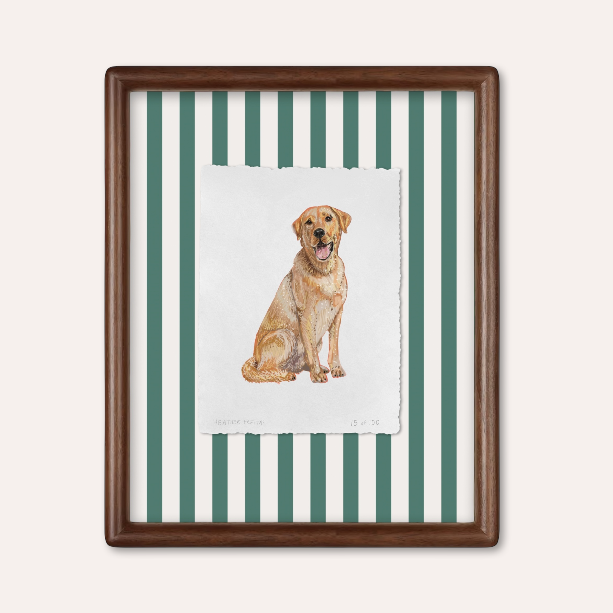 Labrador Limited Edition Framed Print