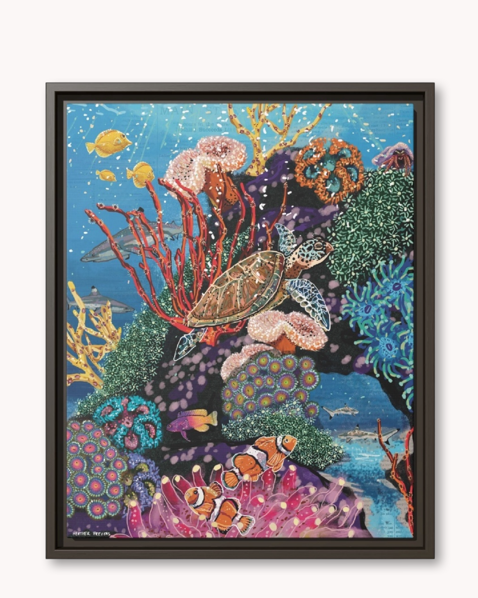 Turtle Reef Framed Canvas Print