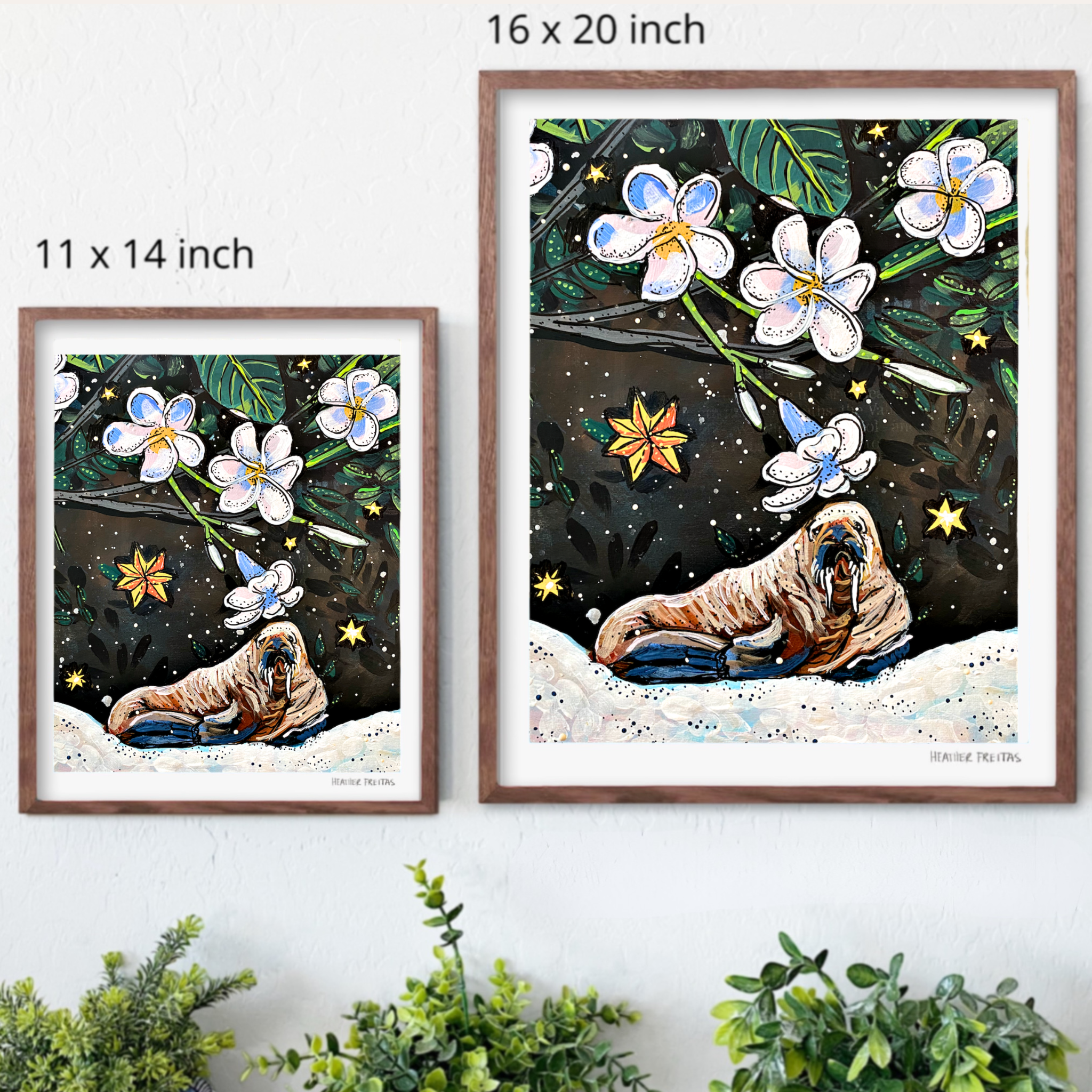 Walrus Plumeria Fine Art Print