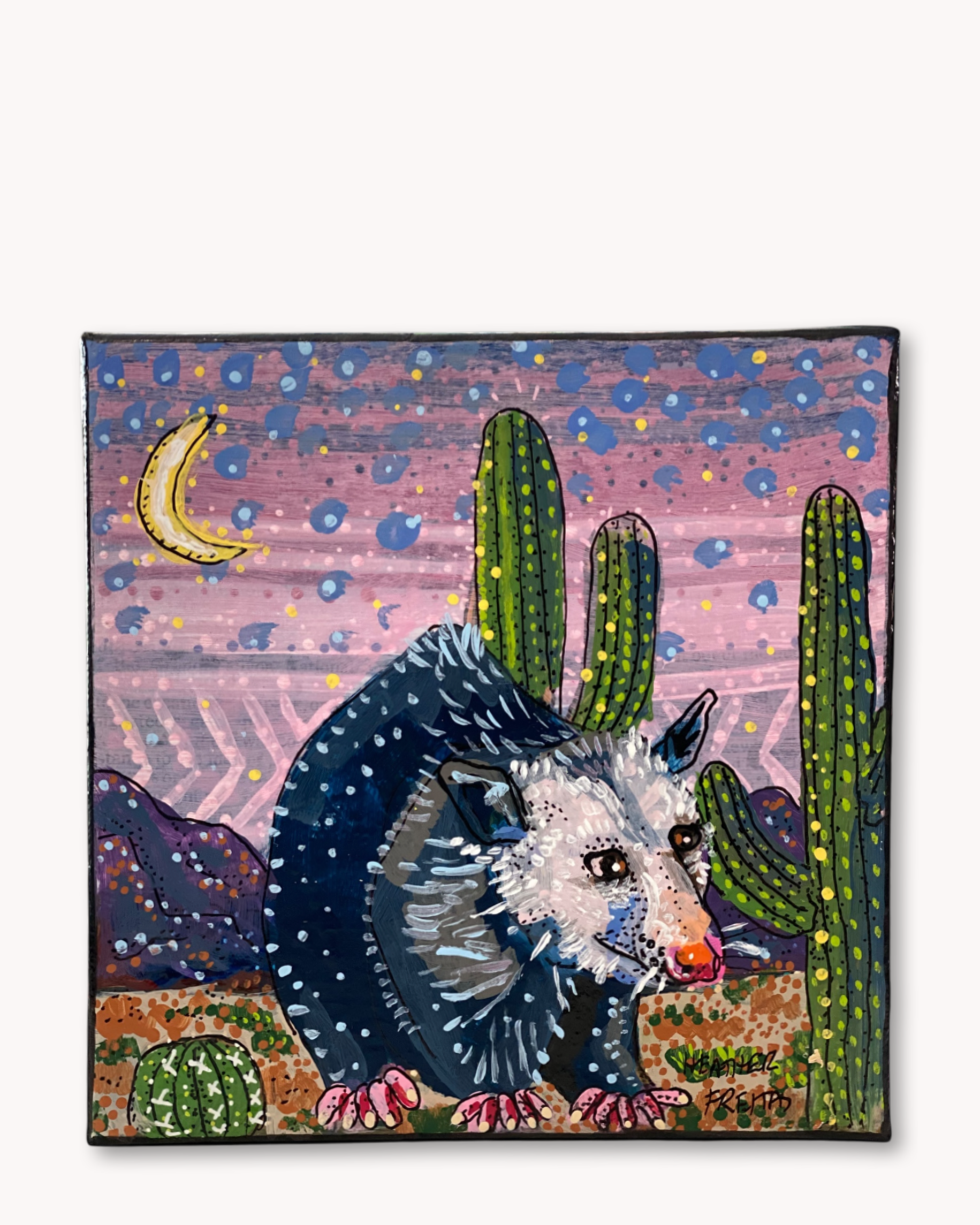 Southwest Opossum