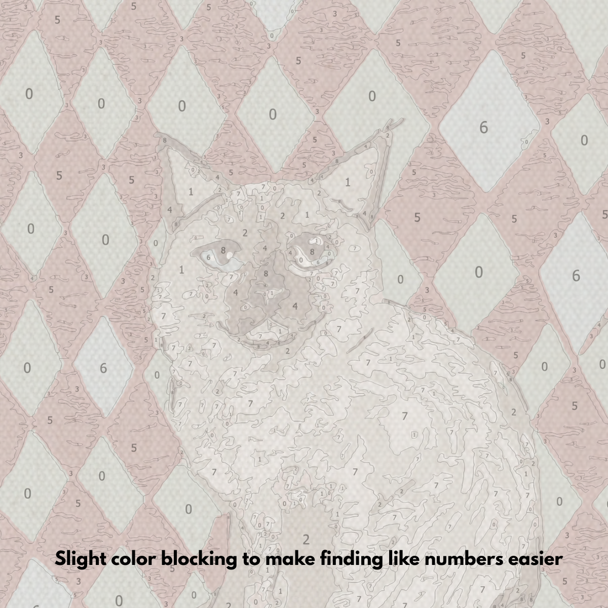 Birman Cat - Paint by Numbers Kit