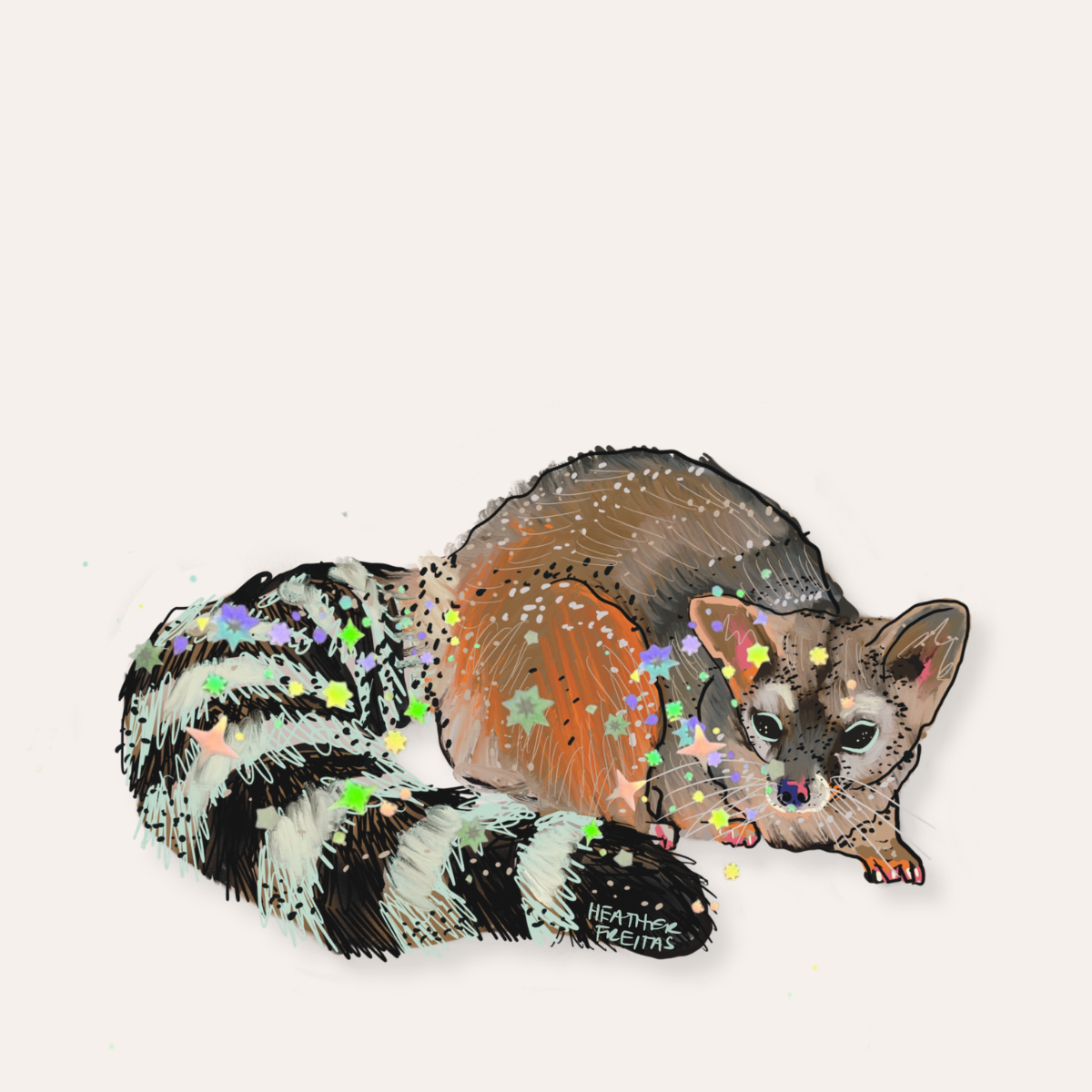 Ringtail Cat Sticker