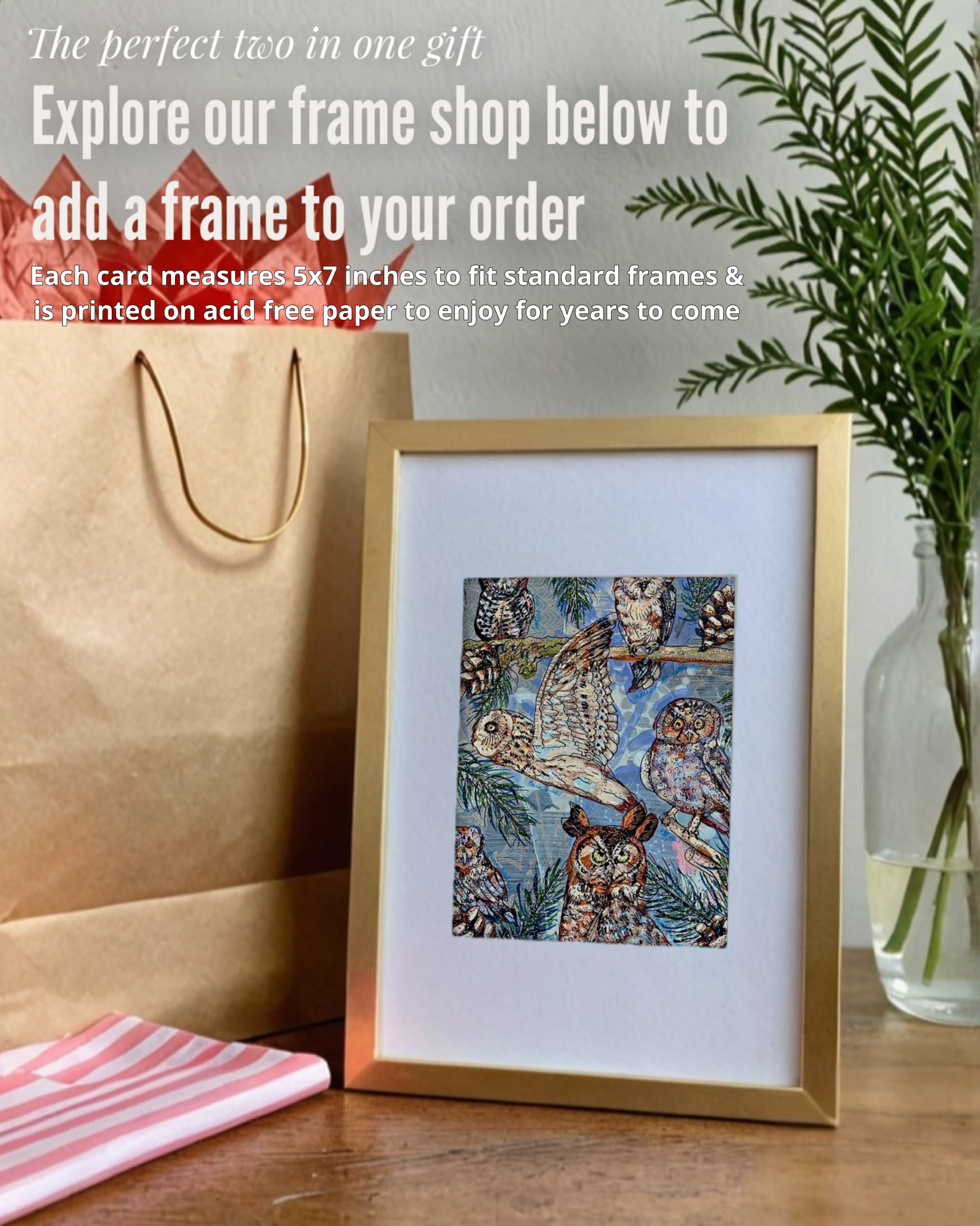 Owl Specimens - Greeting Card / Fine Art Print