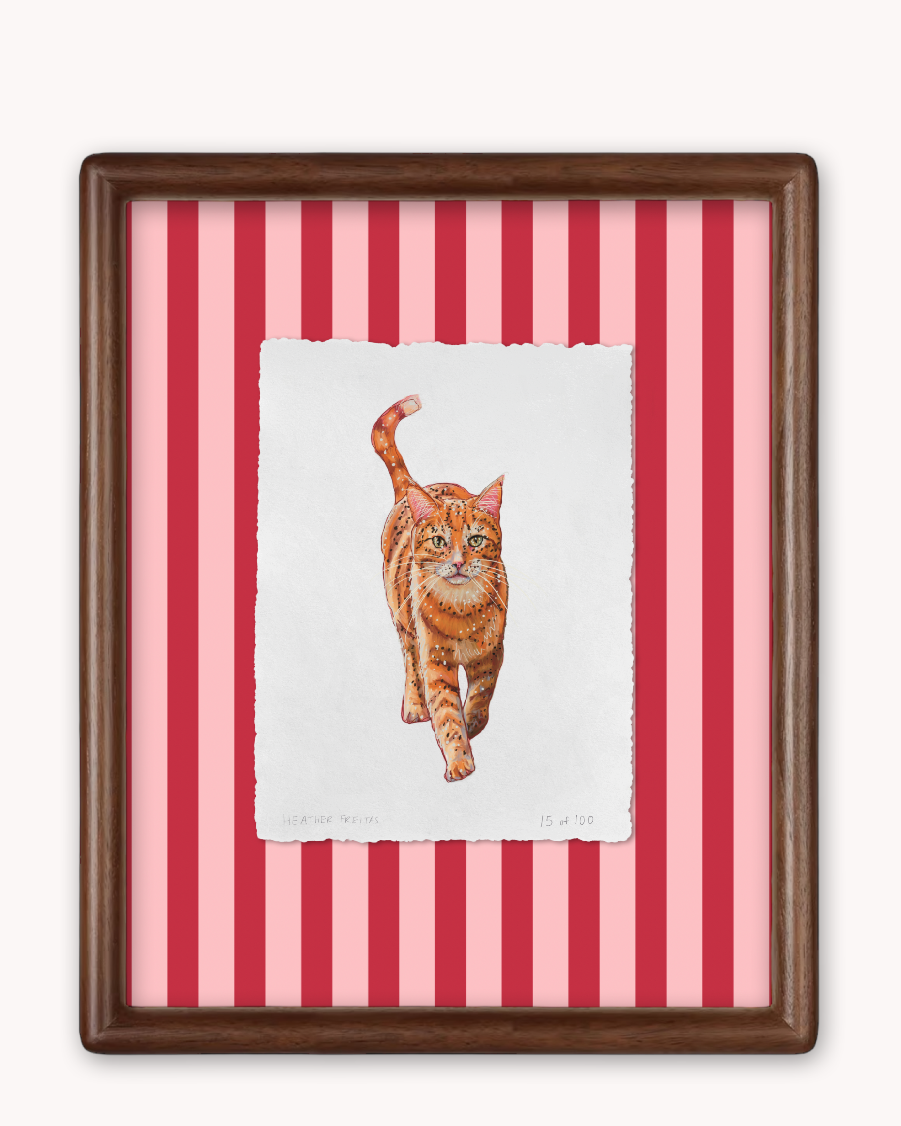 Orange Tabby Limited Edition Framed Print
