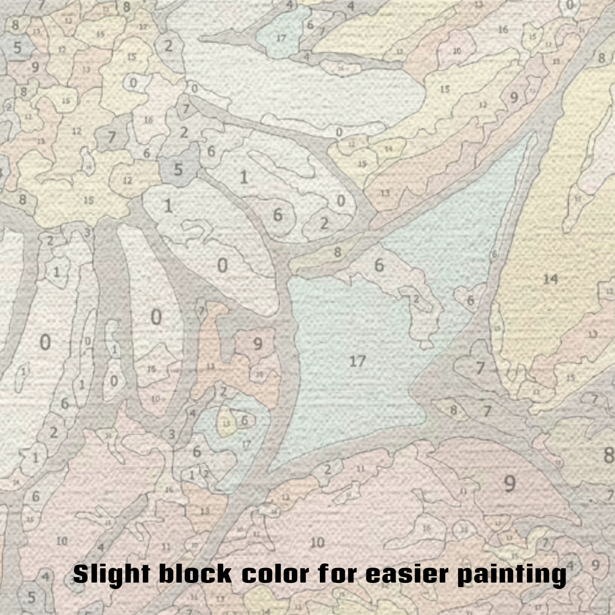 Flower Power - Paint by Numbers Kit