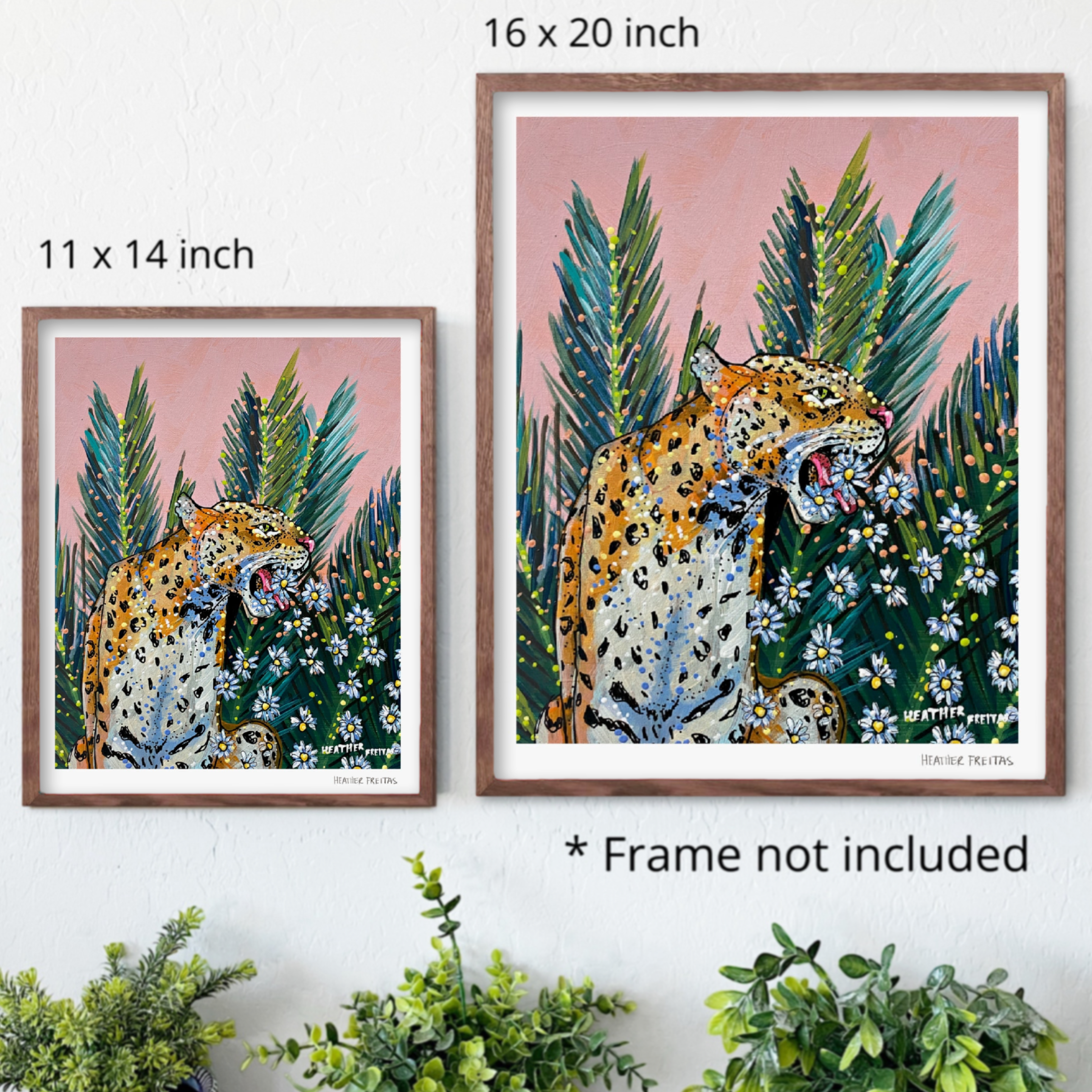 Jaguar Daisy Fine Art Print