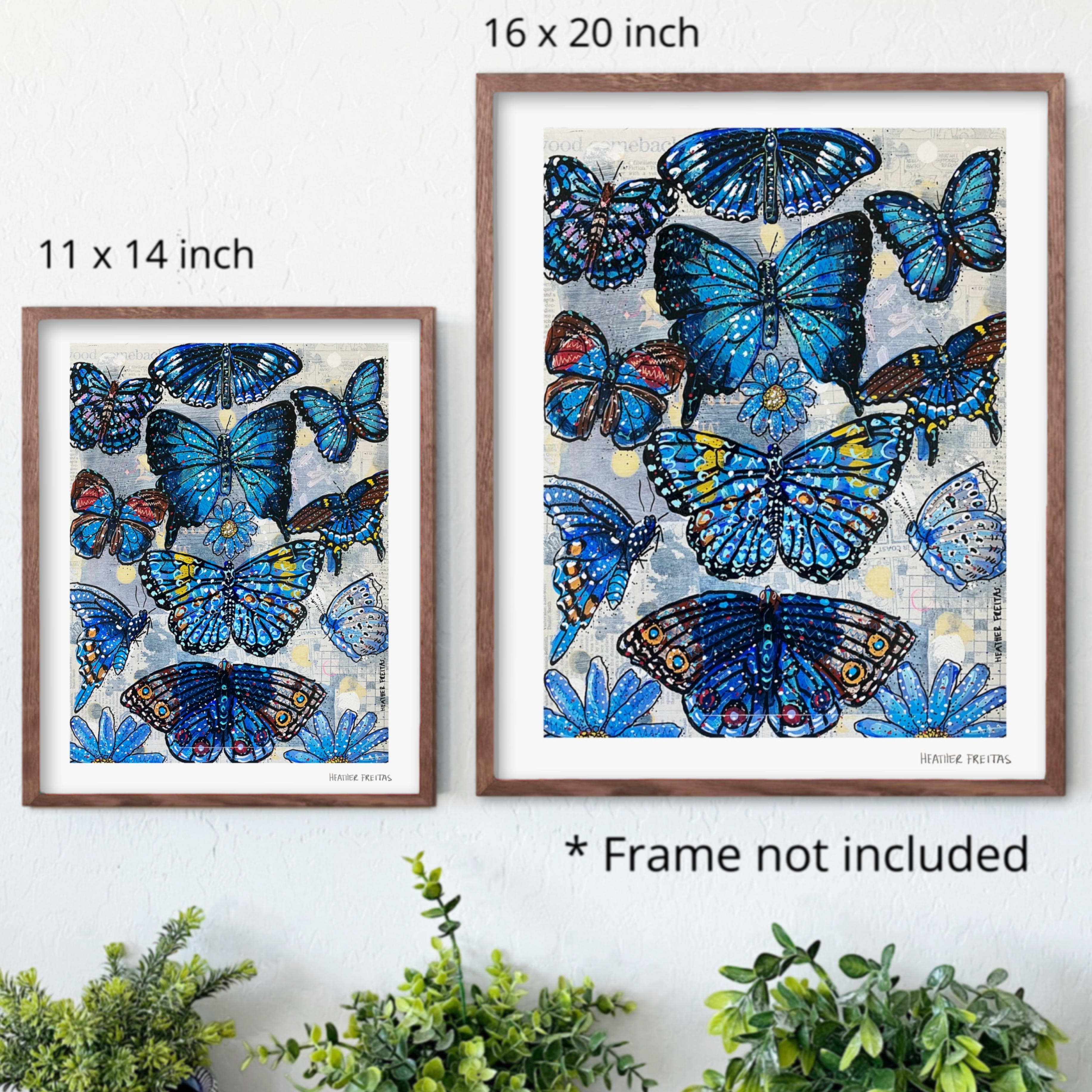 Blue Butterfly Species Fine Art Print