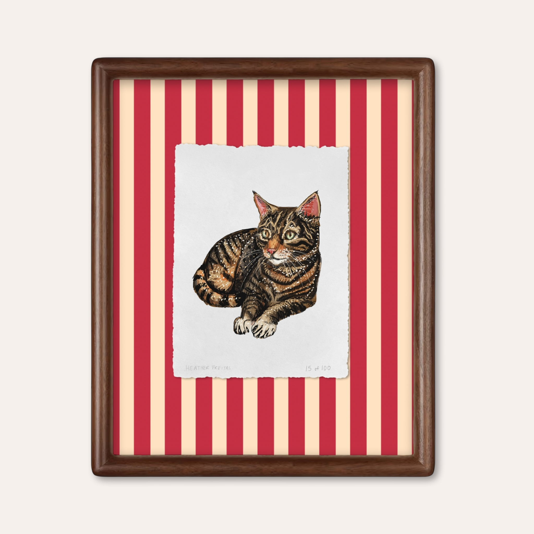 Tabby Limited Edition Framed Print