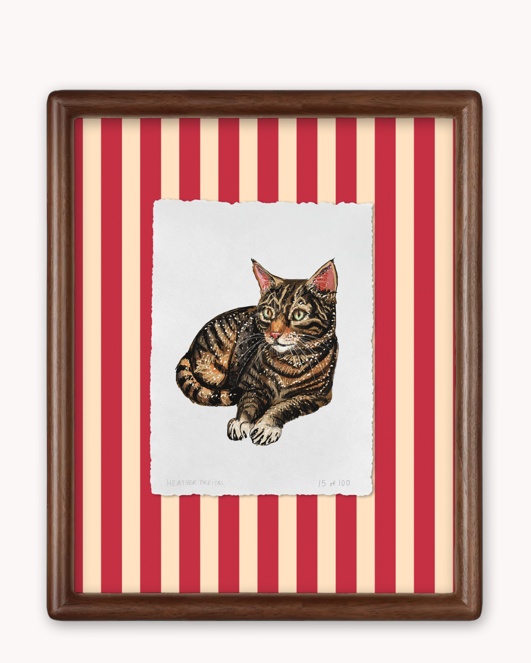Tabby Limited Edition Framed Print