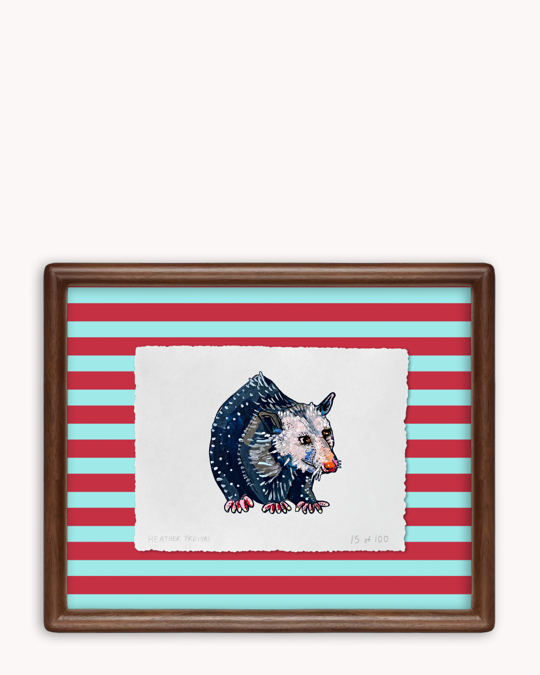 Opossum Limited Edition Framed Print