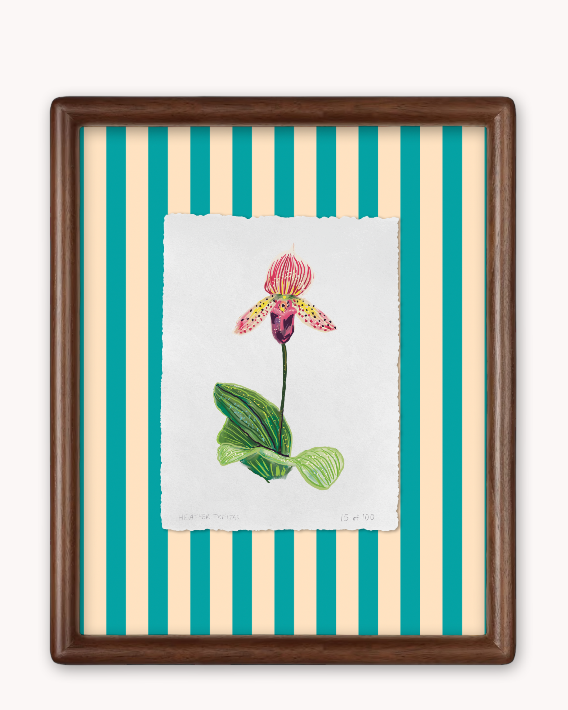 Lady Slipper Limited Edition Framed Print
