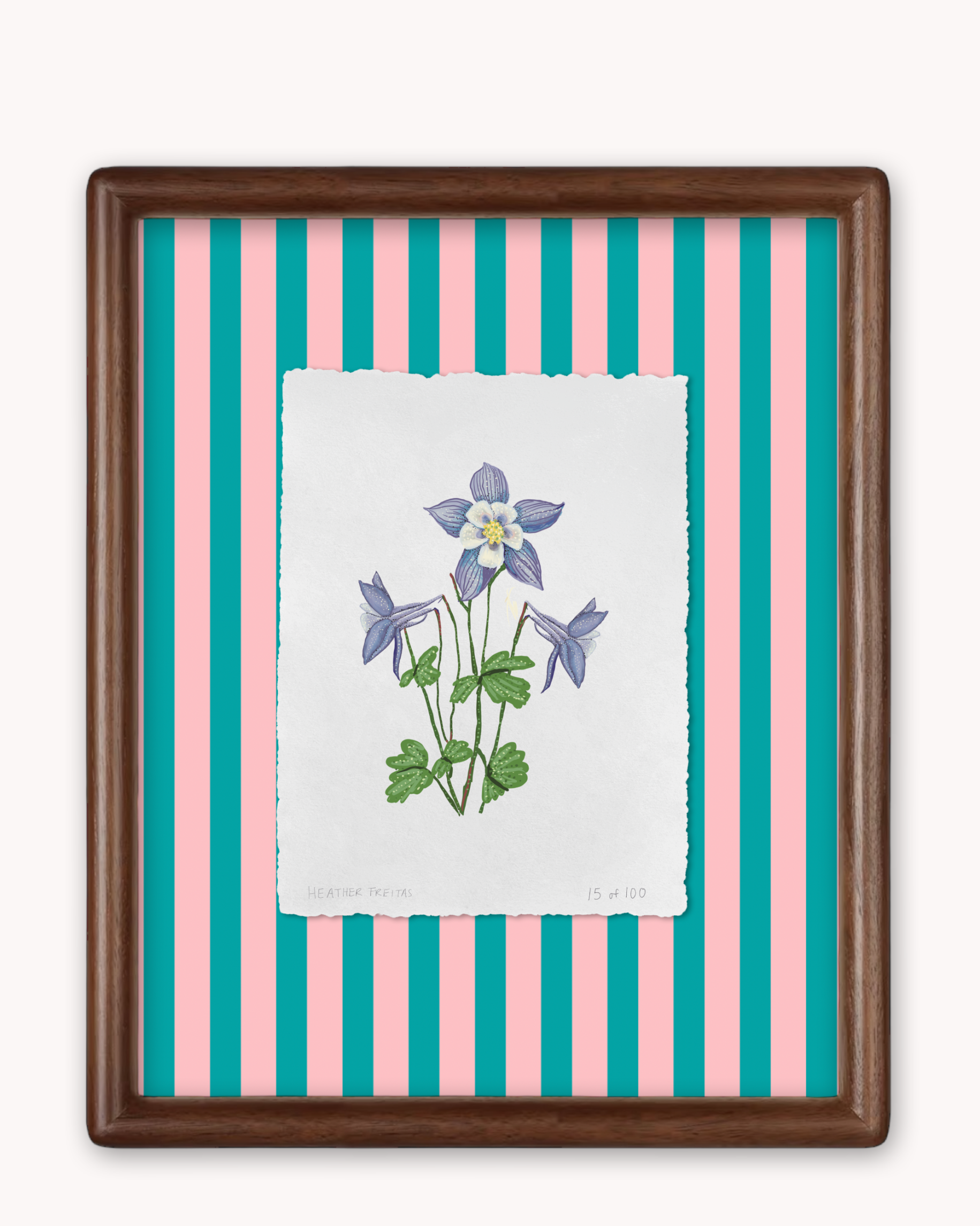 Blue Columbine Limited Edition Framed Print