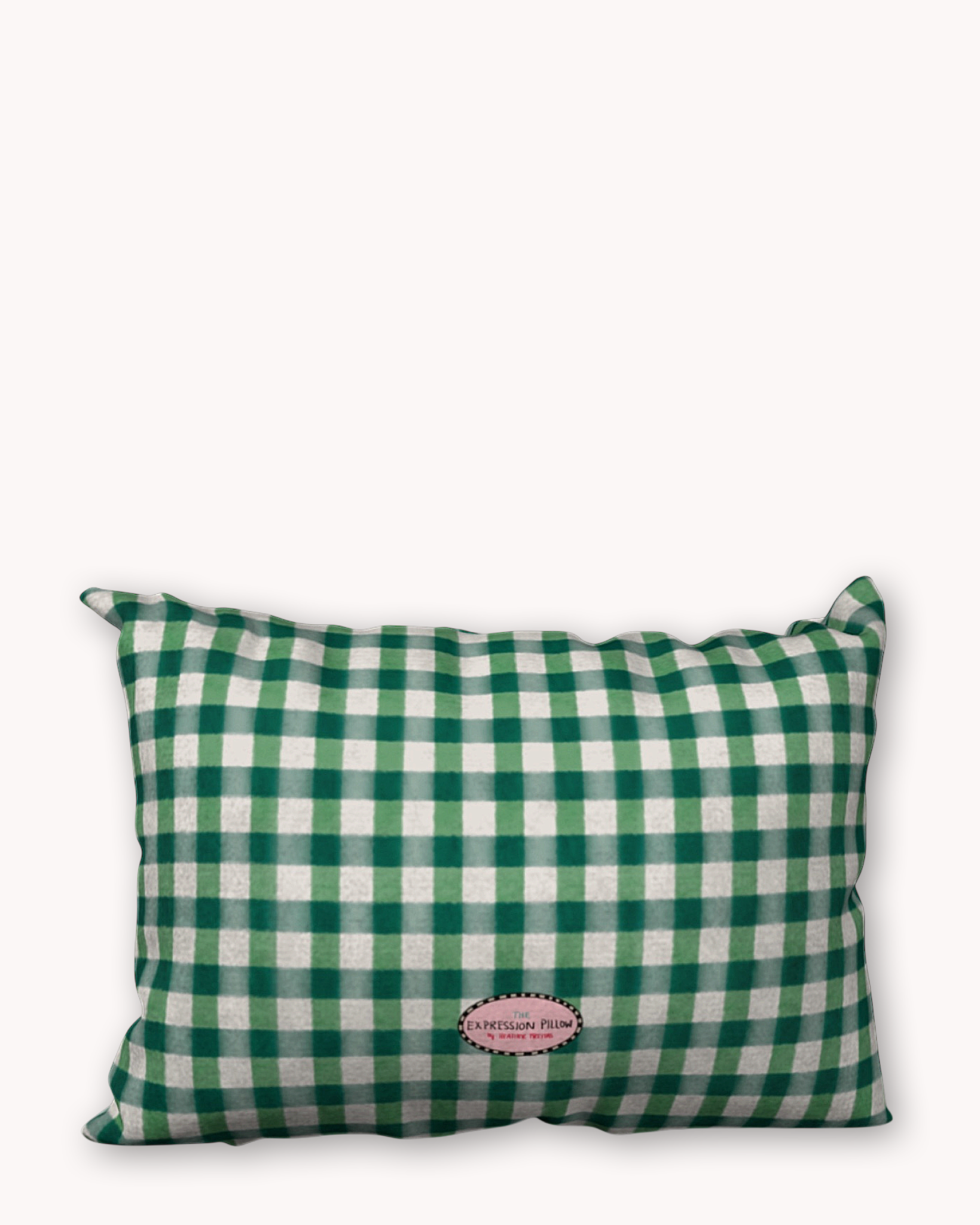 Green Gingham Expressions Pillowcase