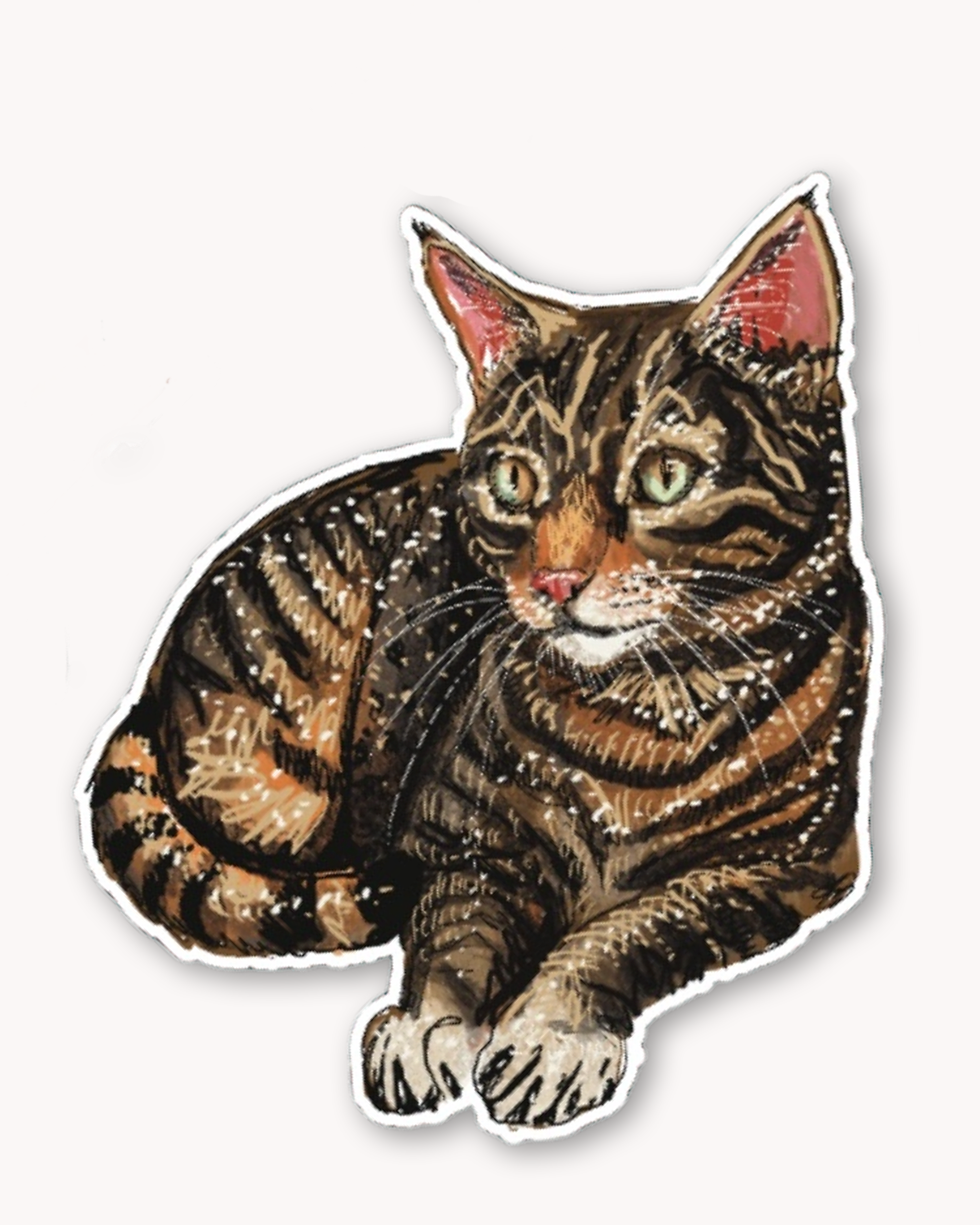 Brown Tabby Sticker