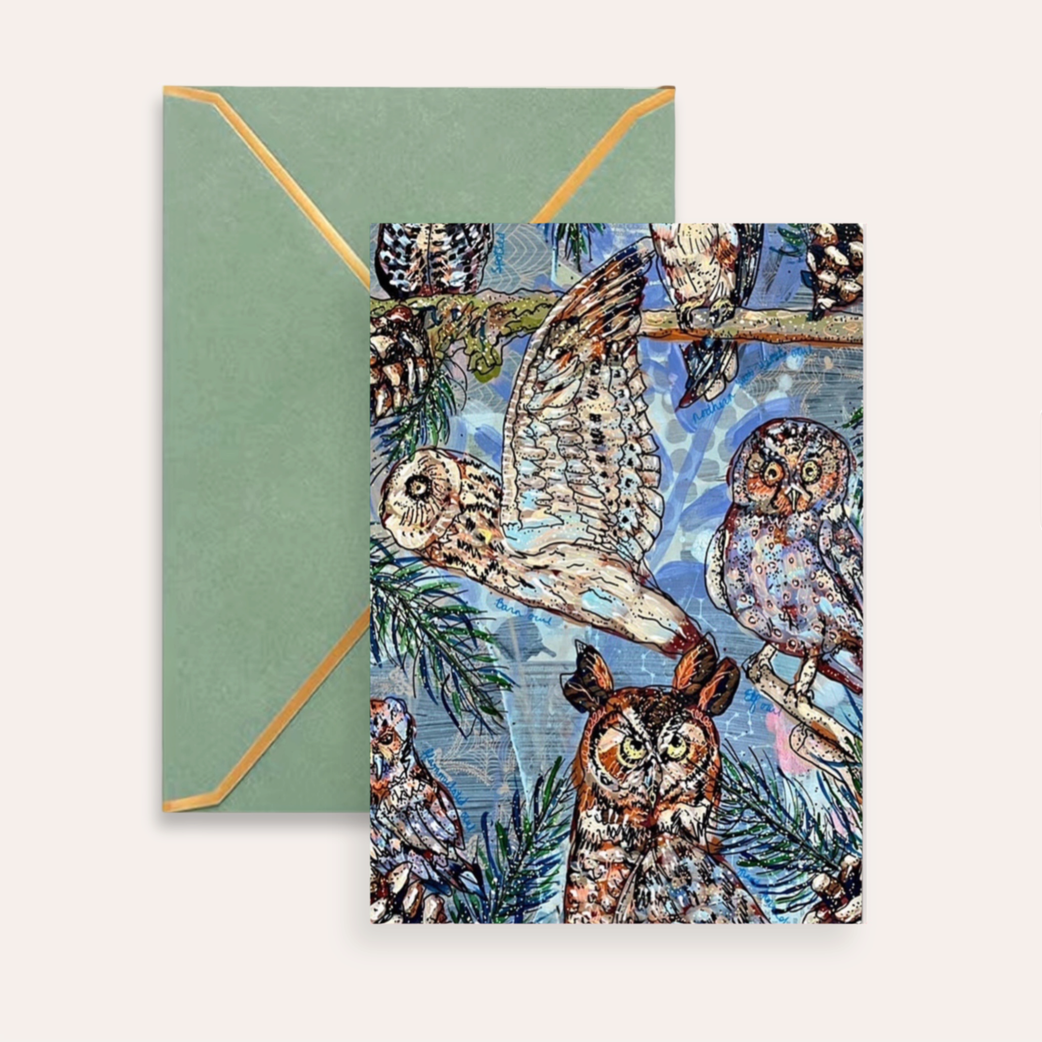 Owl Specimens Fine Art Greeting Card