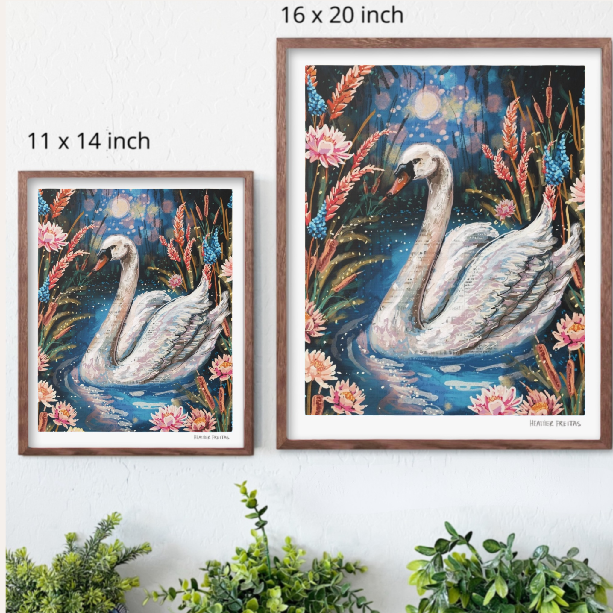 Serenity Swan Fine Art Print