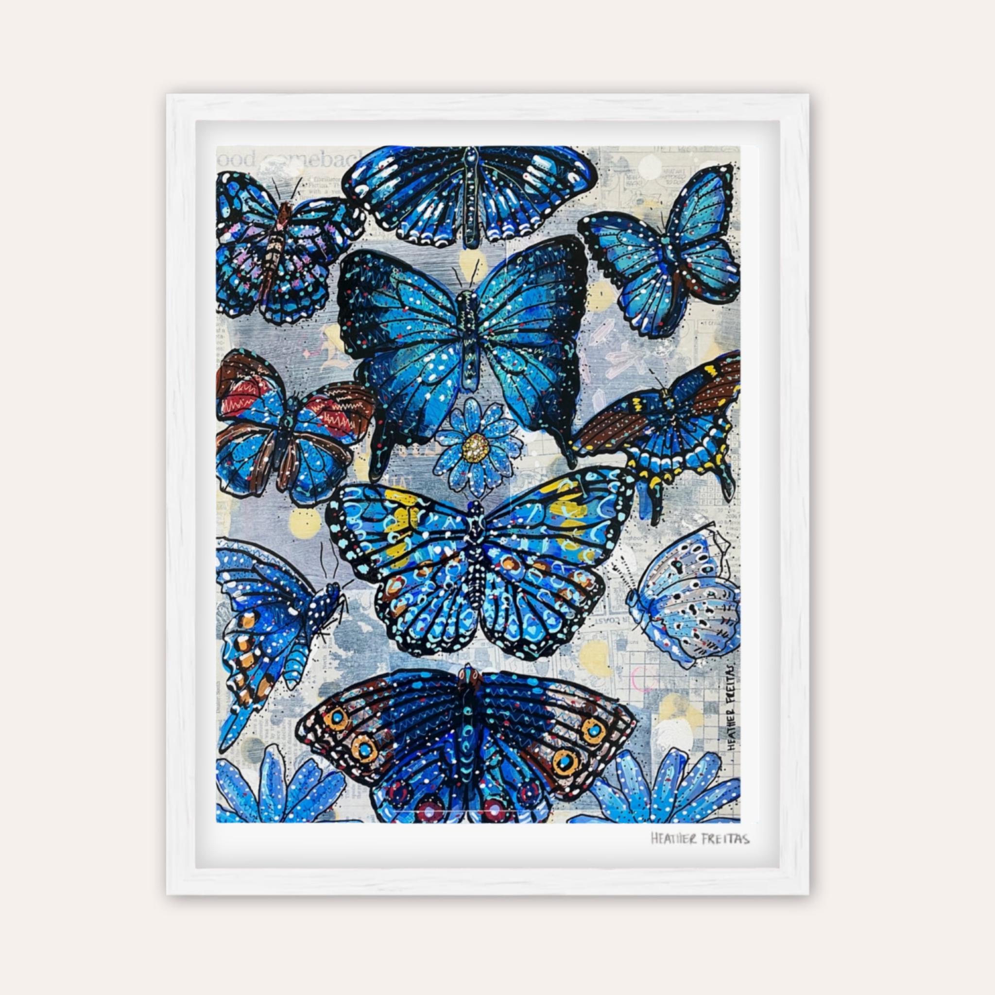 Blue Butterfly Species Fine Art Print