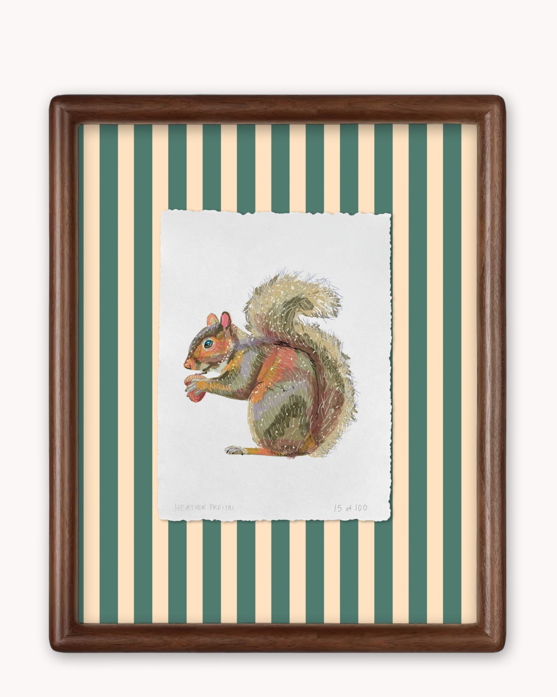 Squirrel Limited Edition Framed Print