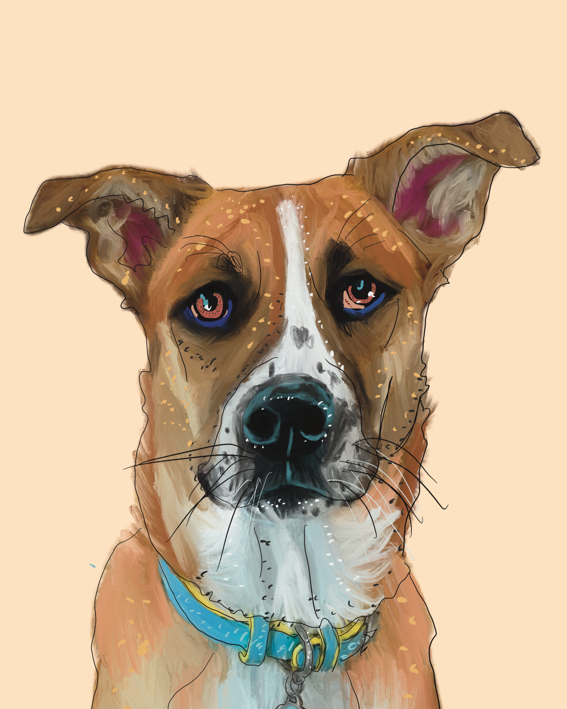 Custom Pet Add On - For Build Your Own Add On Only