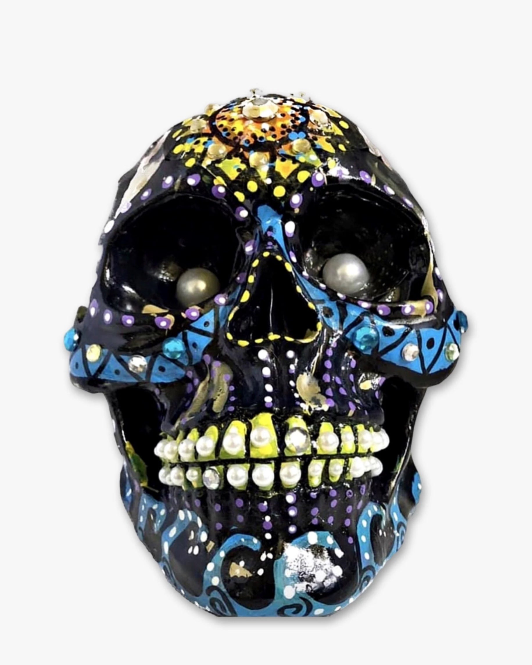 Labrador Duck Skull ( Hand Painted Sculpture )