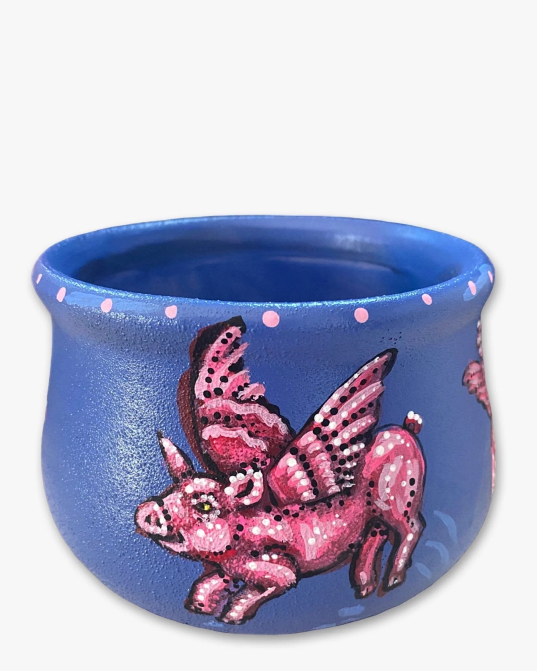 Flying Pigs Planter