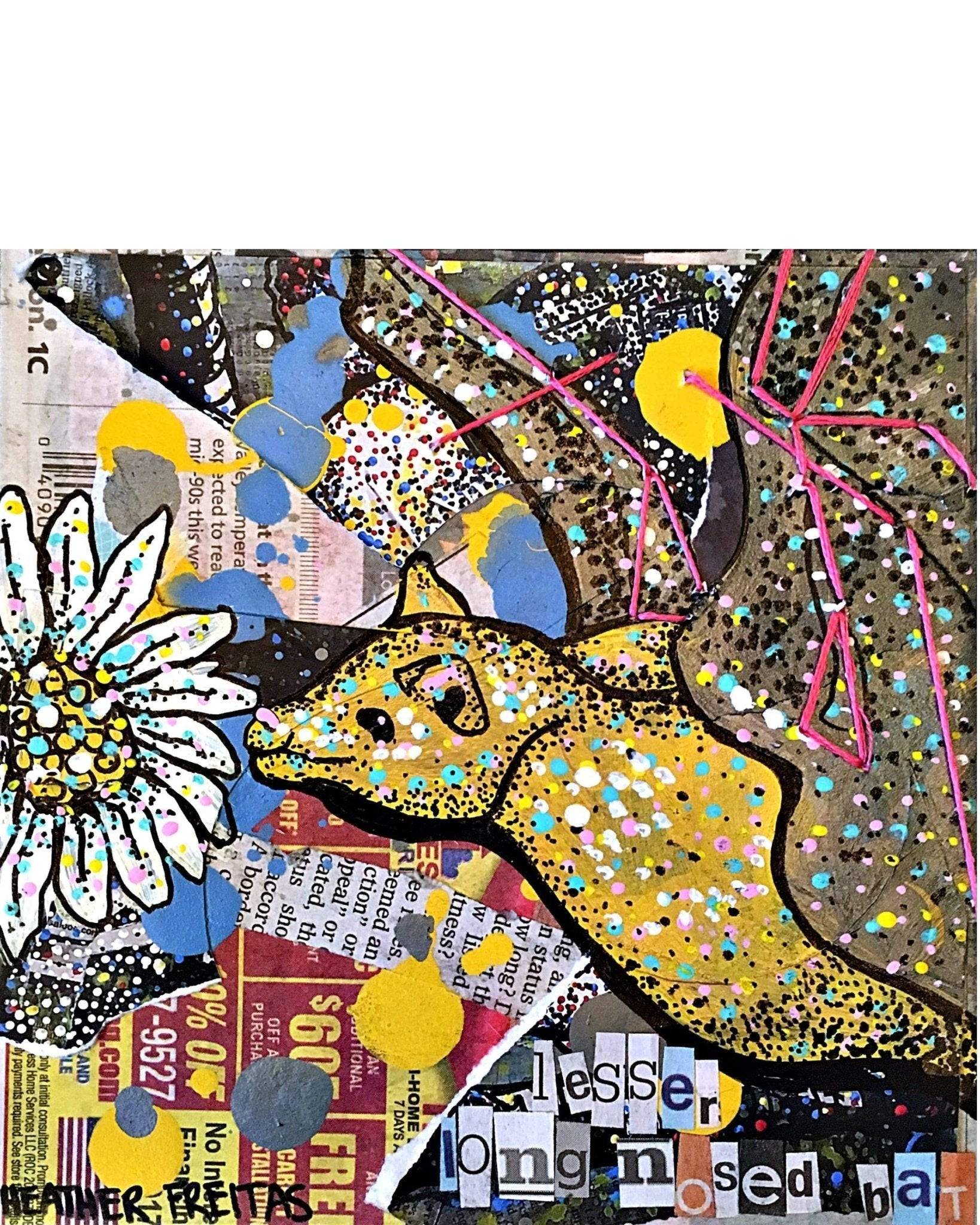 Arizona Lesser Long Nosed Bat - Heather Freitas - fine art home deccor