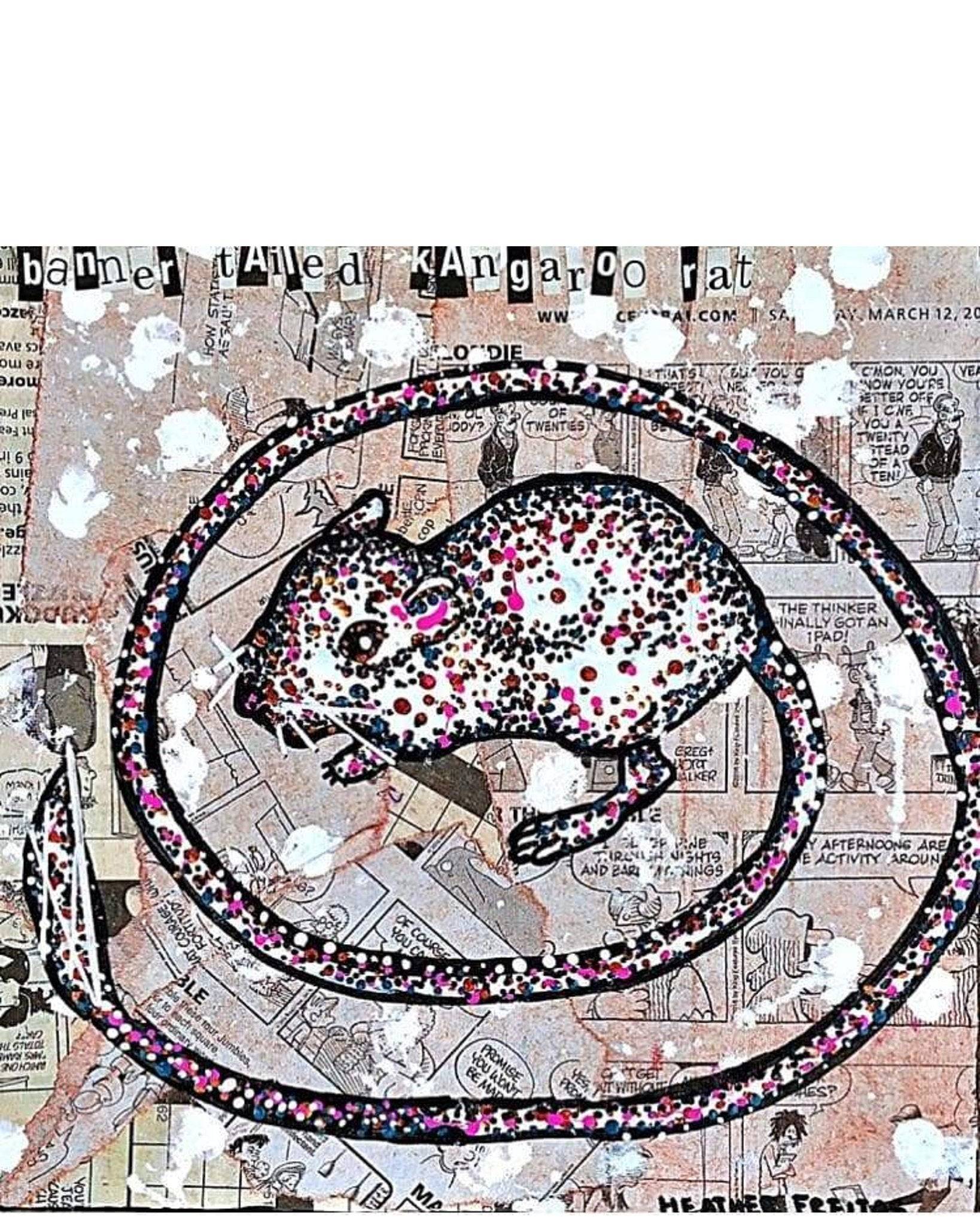 Banner Tailed Kangaroo Rat - Heather Freitas - fine art home deccor