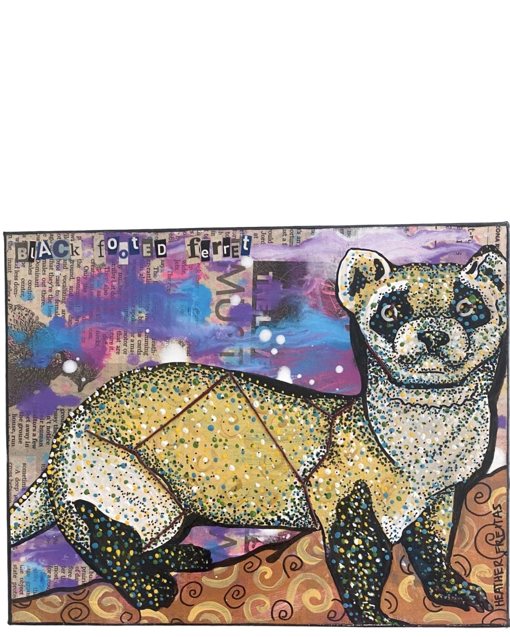 Black Footed Ferret - Heather Freitas - fine art home deccor