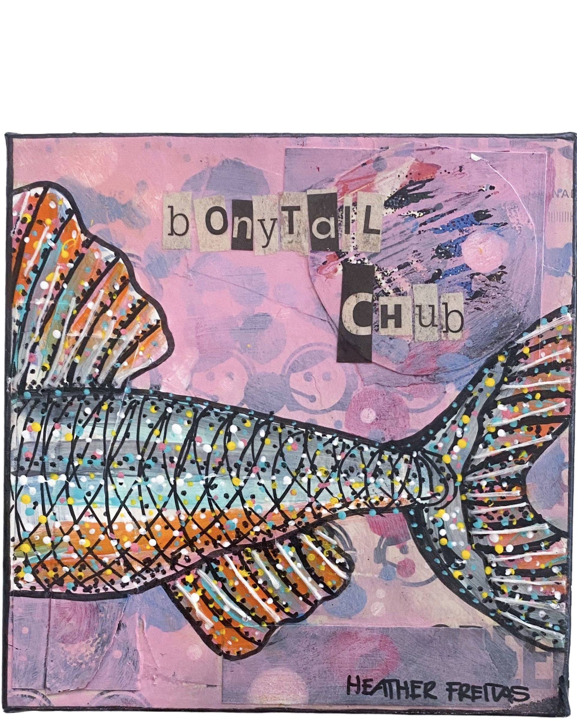 Bony Tail Chub - Heather Freitas - fine art home deccor