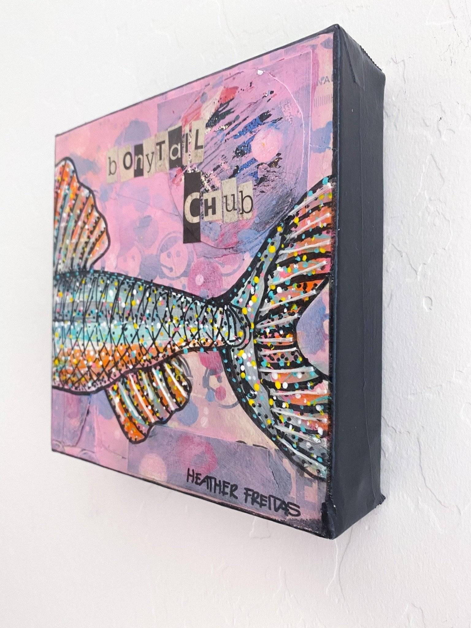 Bony Tail Chub - Heather Freitas - fine art home deccor