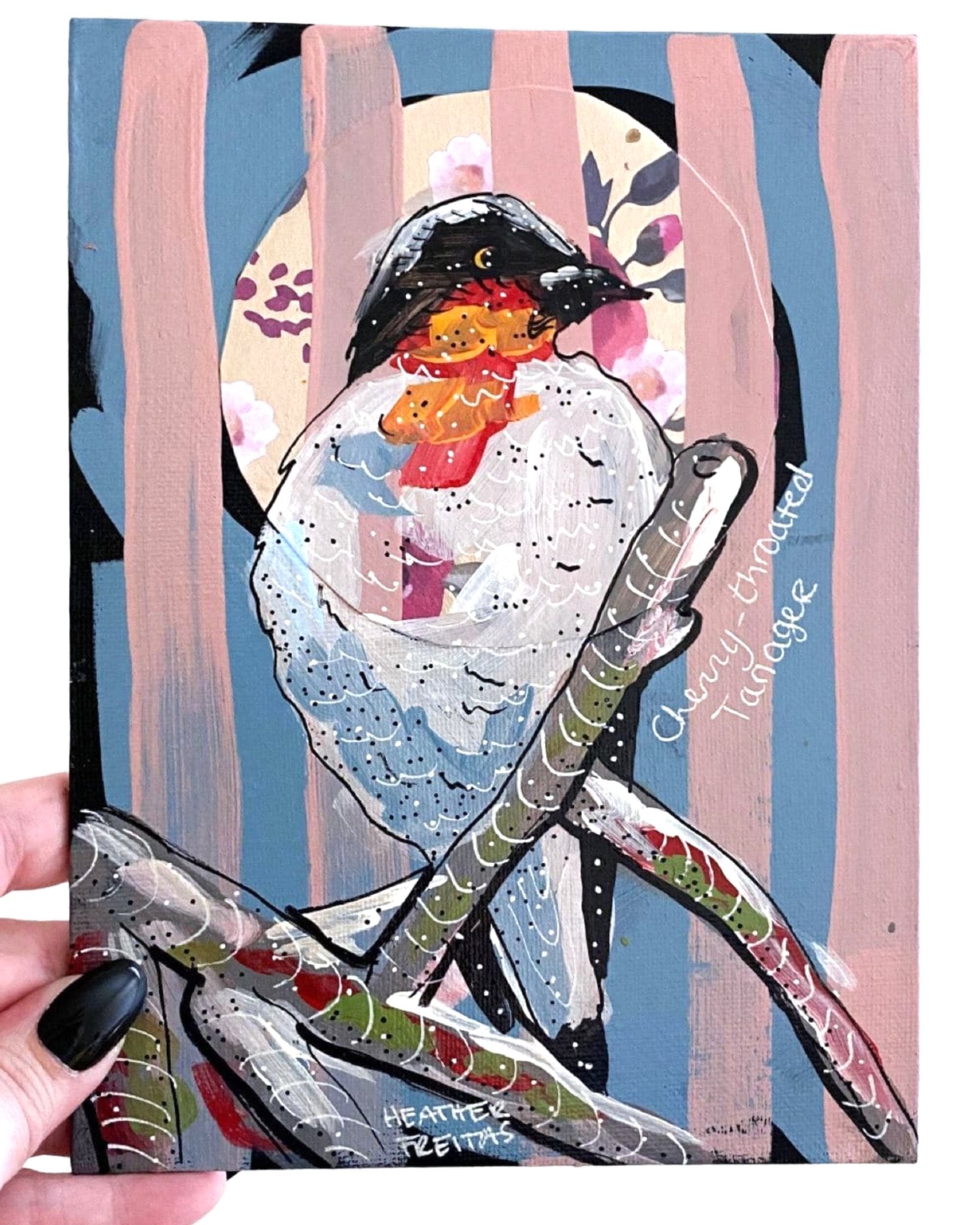 Cherry Throated Tanger - Heather Freitas - fine art home deccor