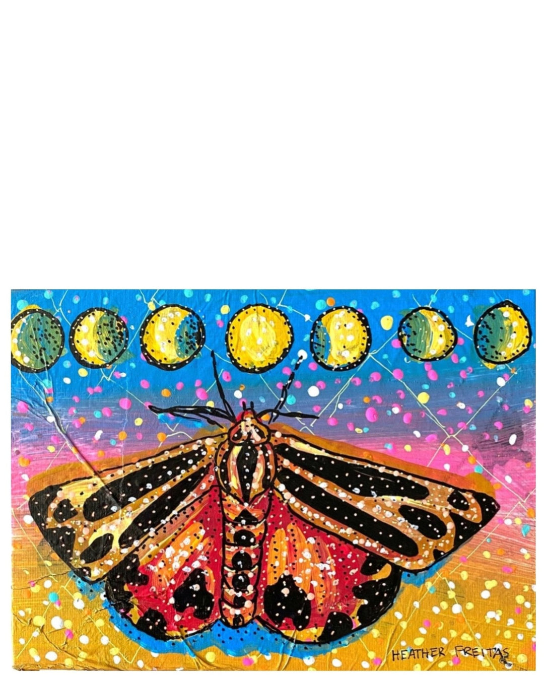 Cranberry Moth - Heather Freitas