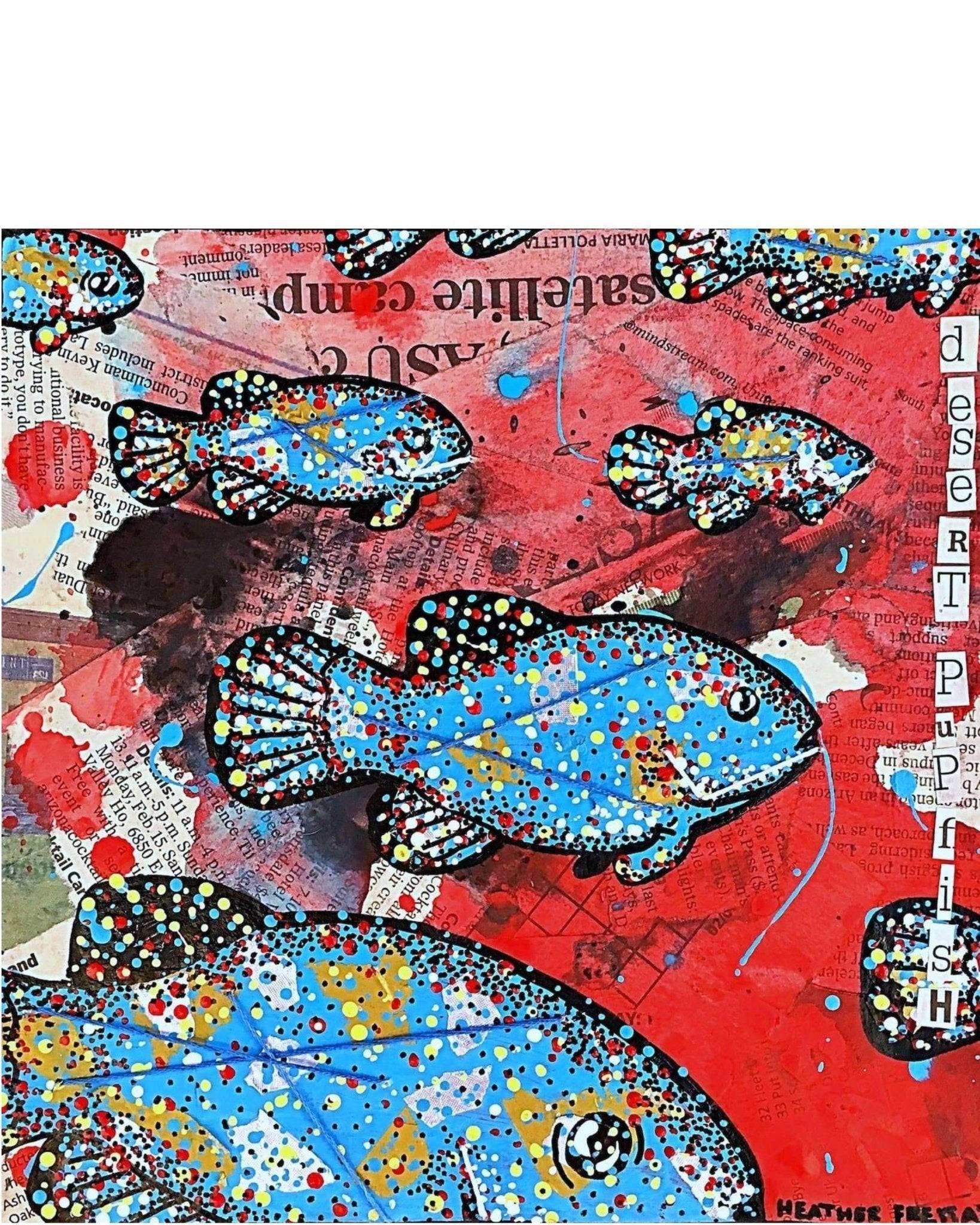 Desert Pupfish - Heather Freitas - fine art home deccor