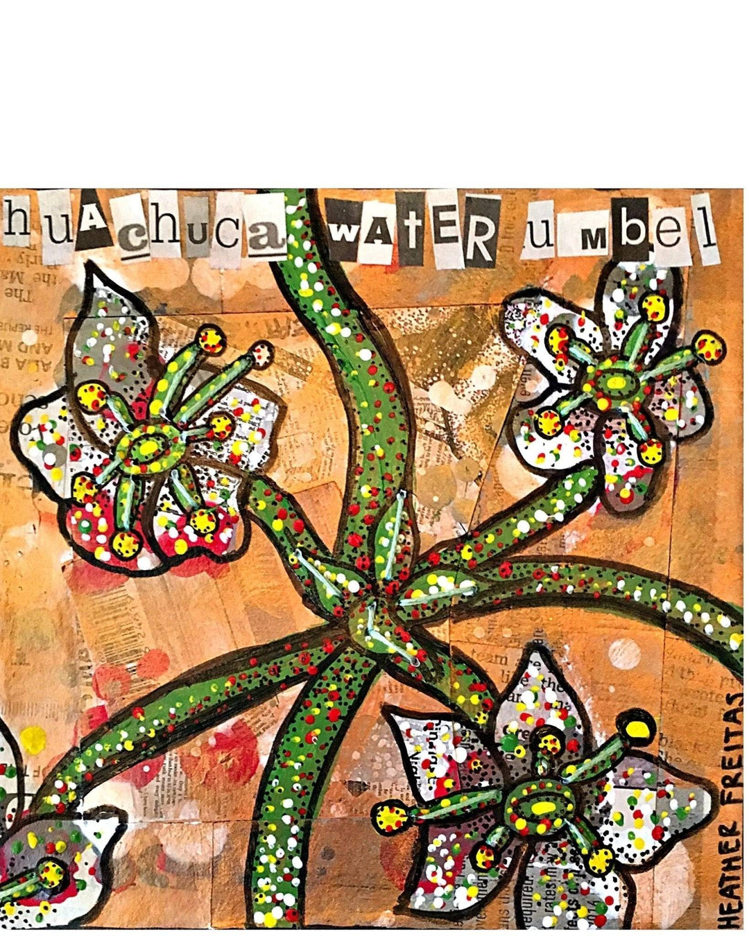 Huachuca Water Umbell - Heather Freitas