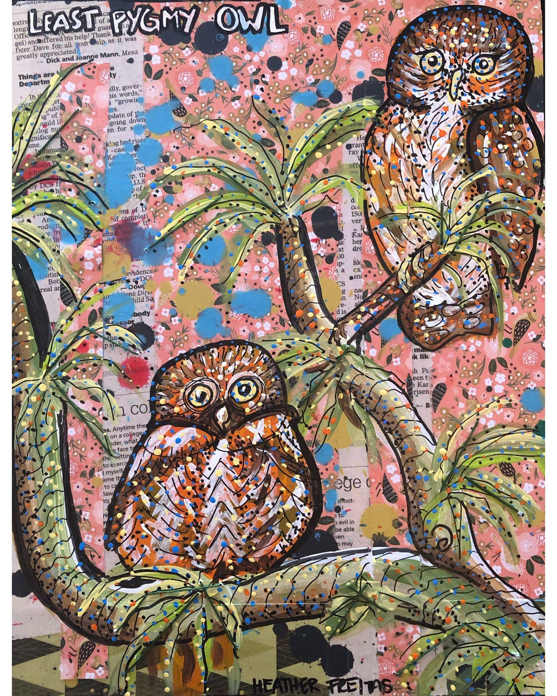 Least Pygmy Owl - Heather Freitas - fine art home deccor