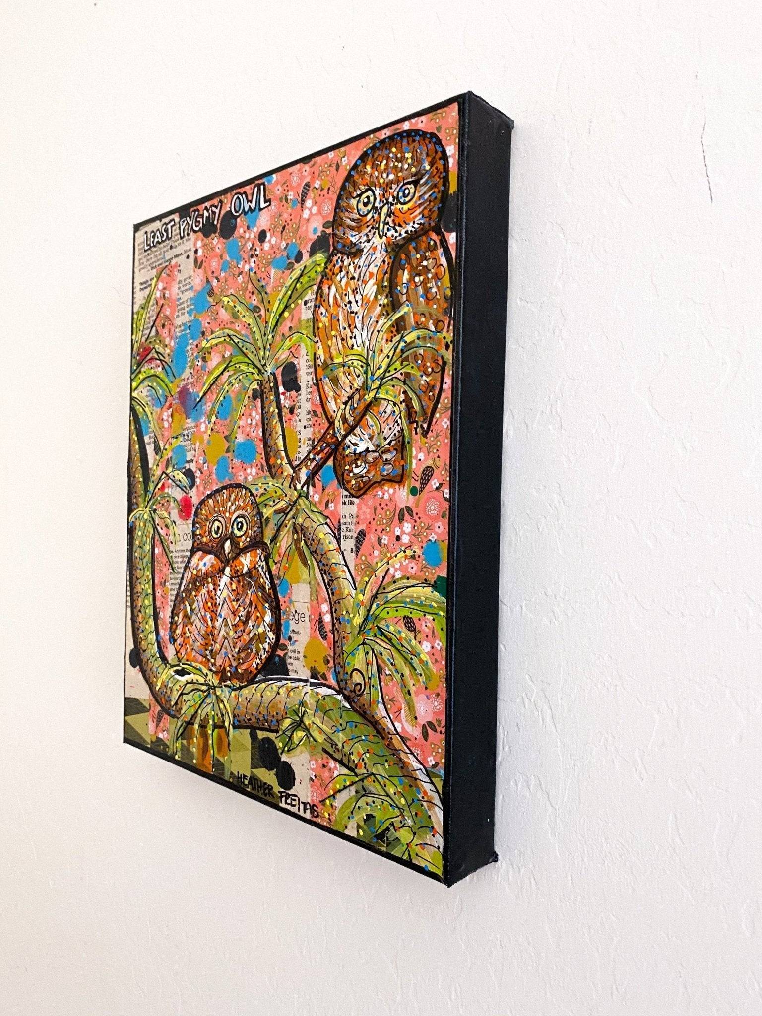 Least Pygmy Owl - Heather Freitas - fine art home deccor