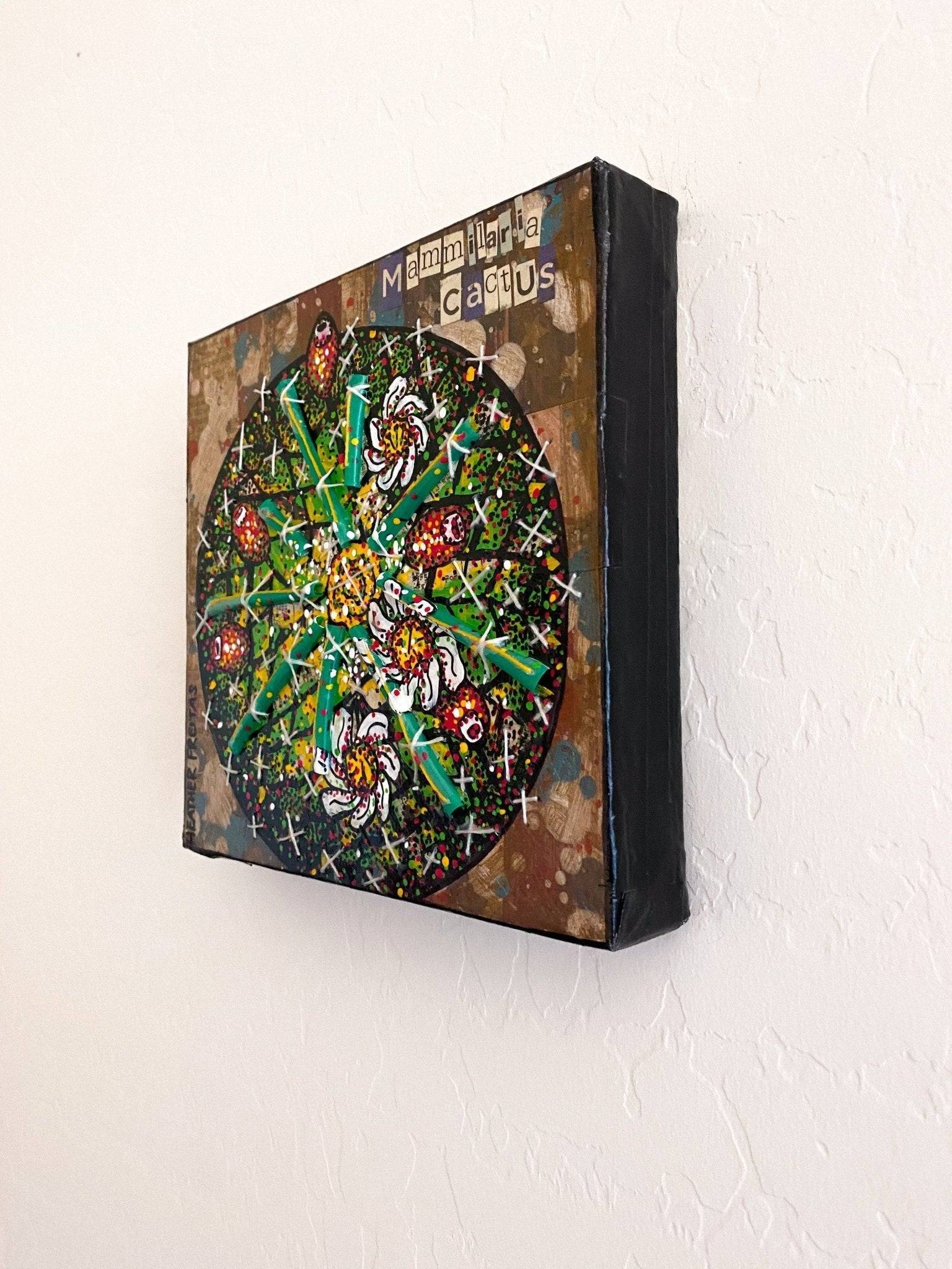 Mammilaria Cactus - Heather Freitas - fine art home deccor