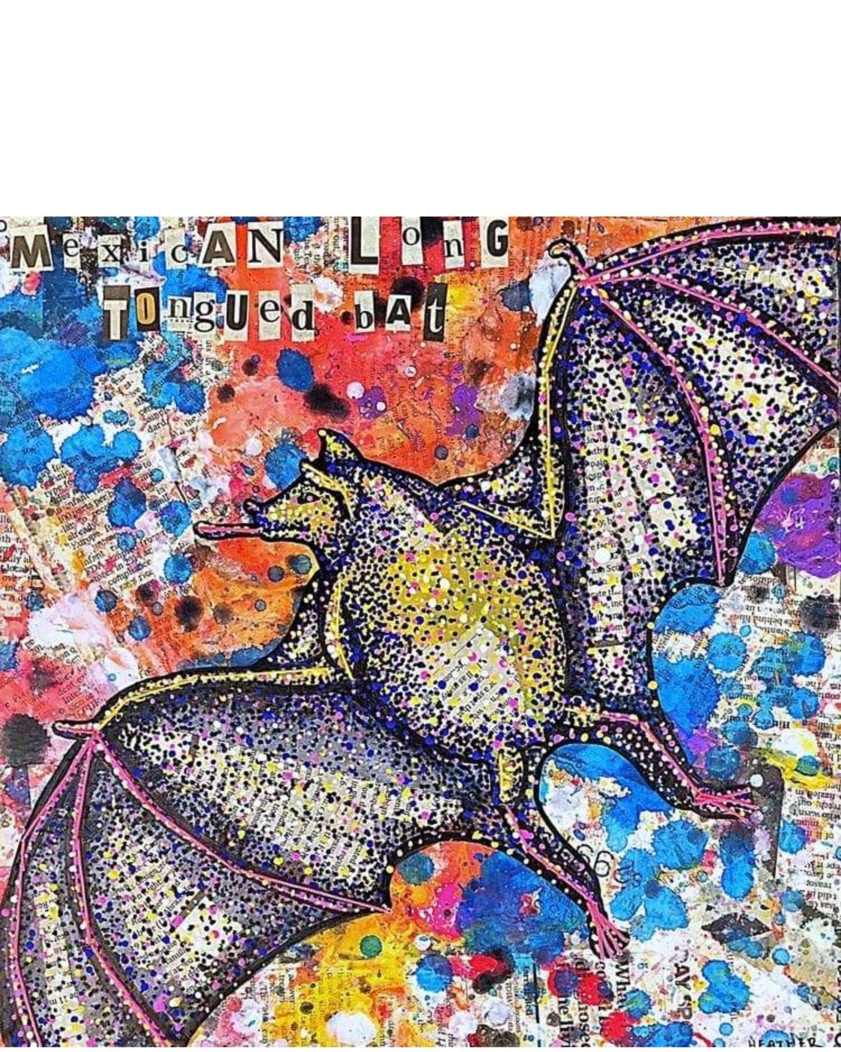 Mexican Long Tongued Bat - Heather Freitas - fine art home deccor