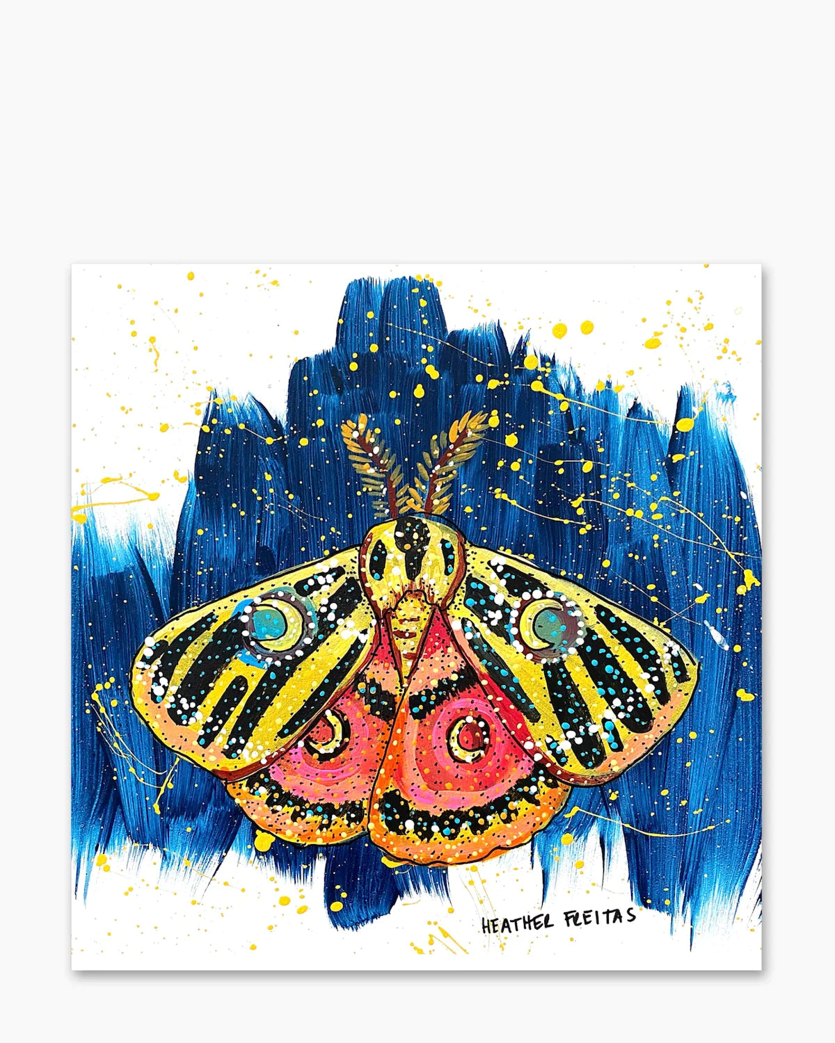 Moon Moth - Heather Freitas