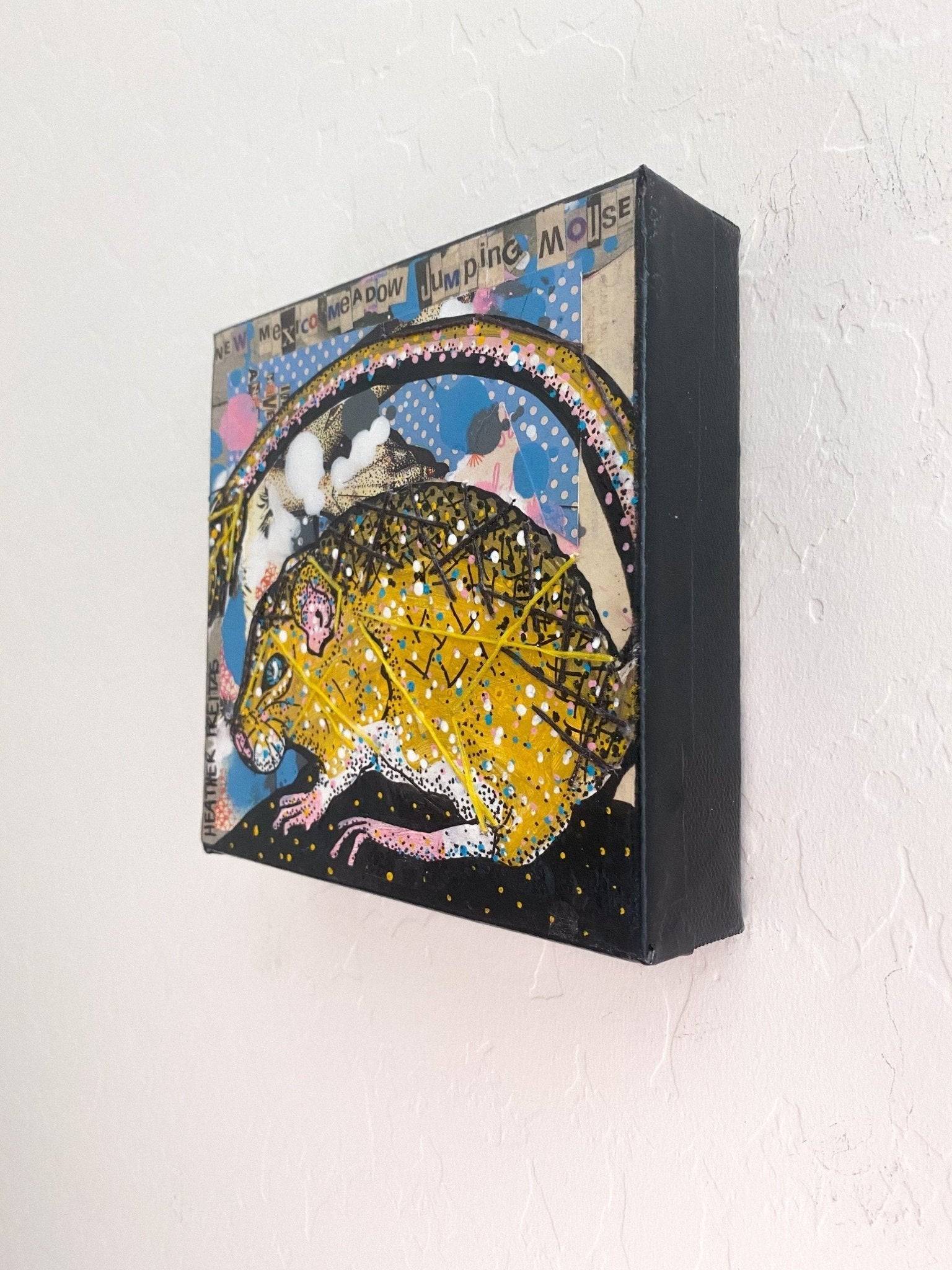 New Mexico Meadow Jumping Mouse Heather Freitas