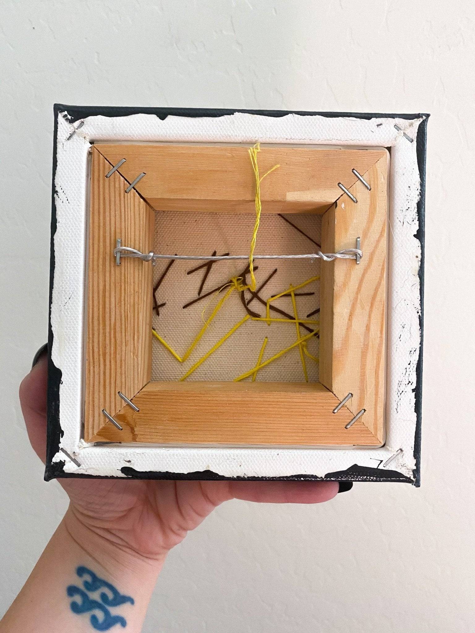 New Mexico Meadow Jumping Mouse Heather Freitas