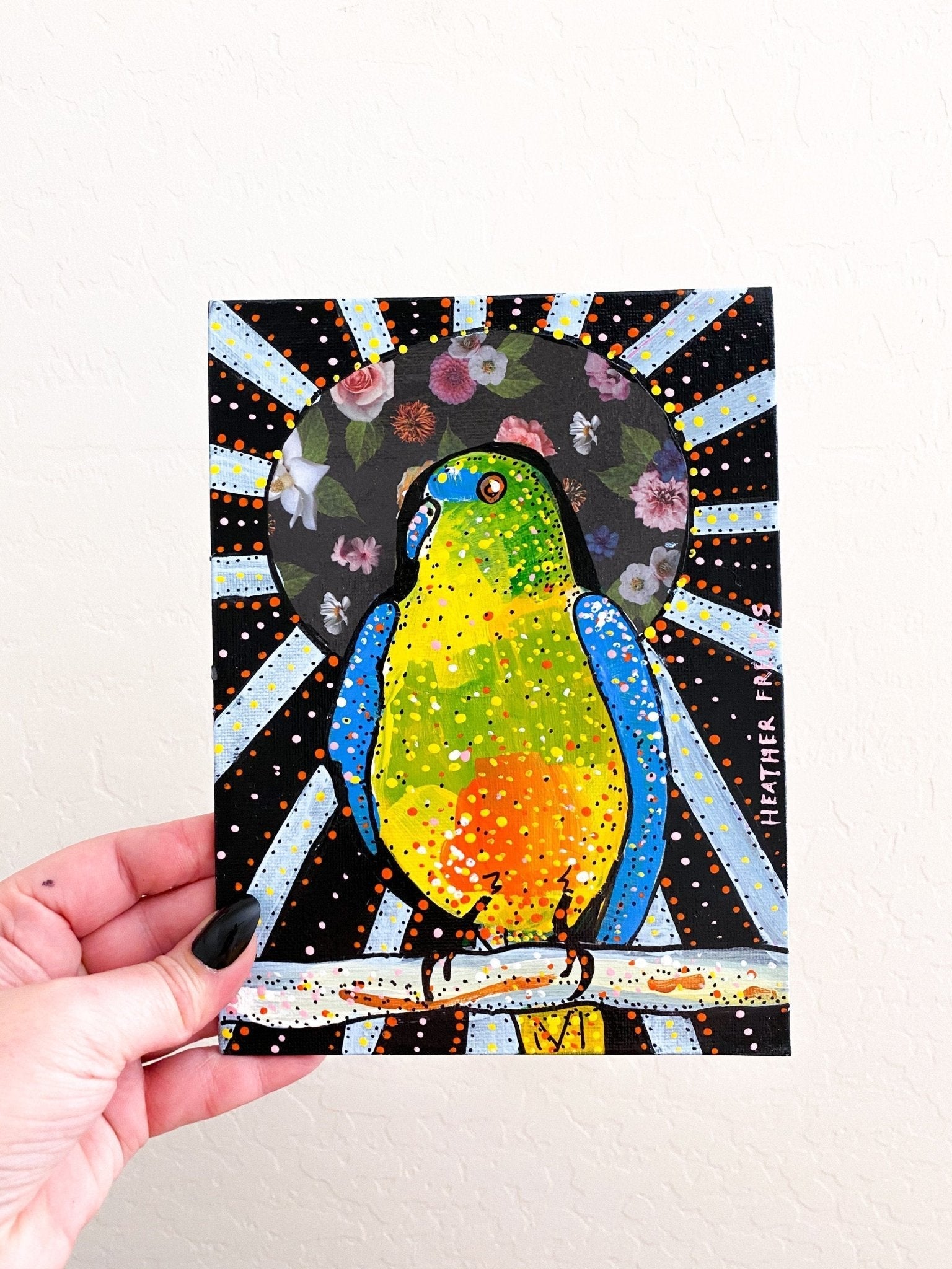 Orange Bellied Parrot Heather Freitas