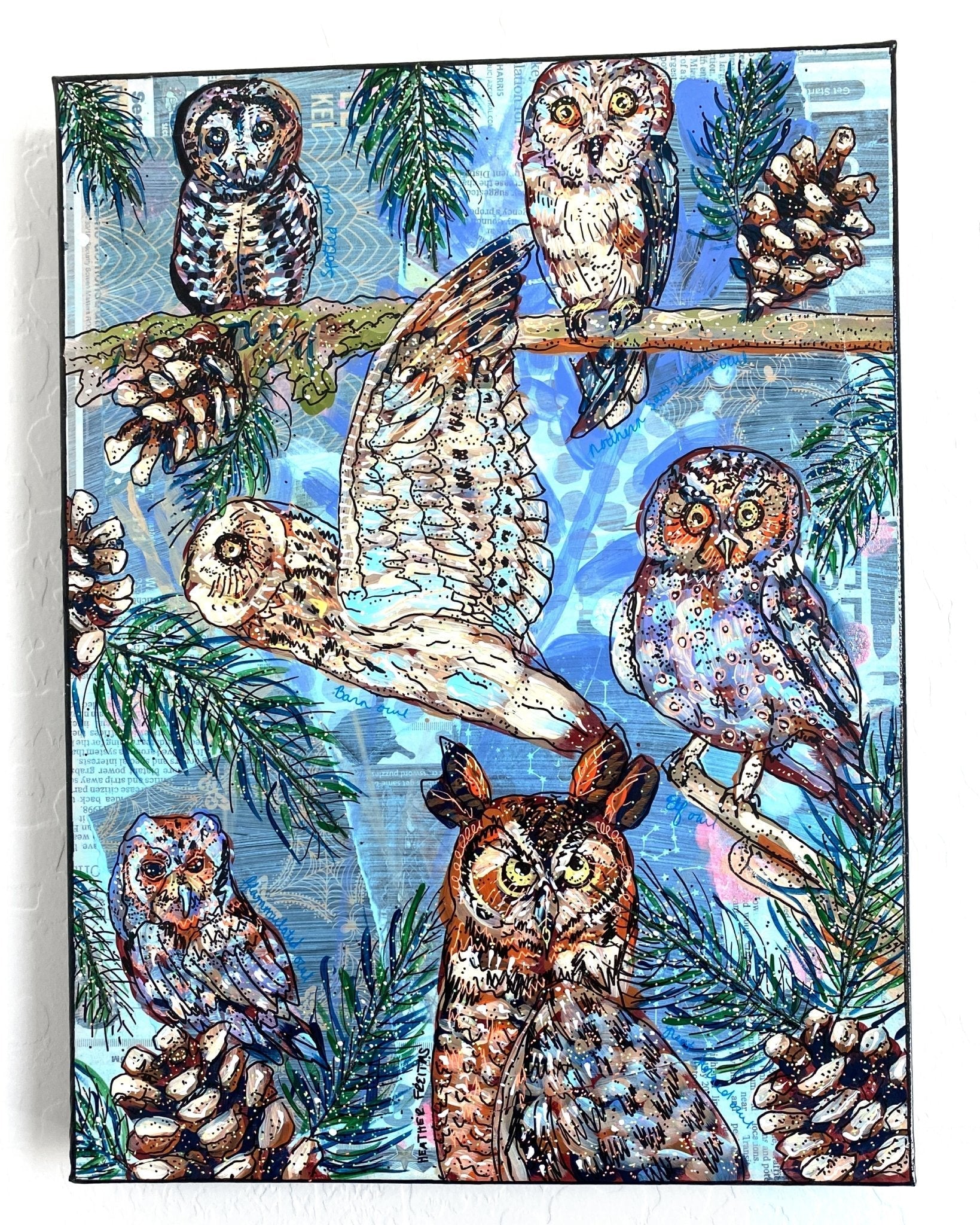 Owl Specimens & Pretty Pines - Heather Freitas