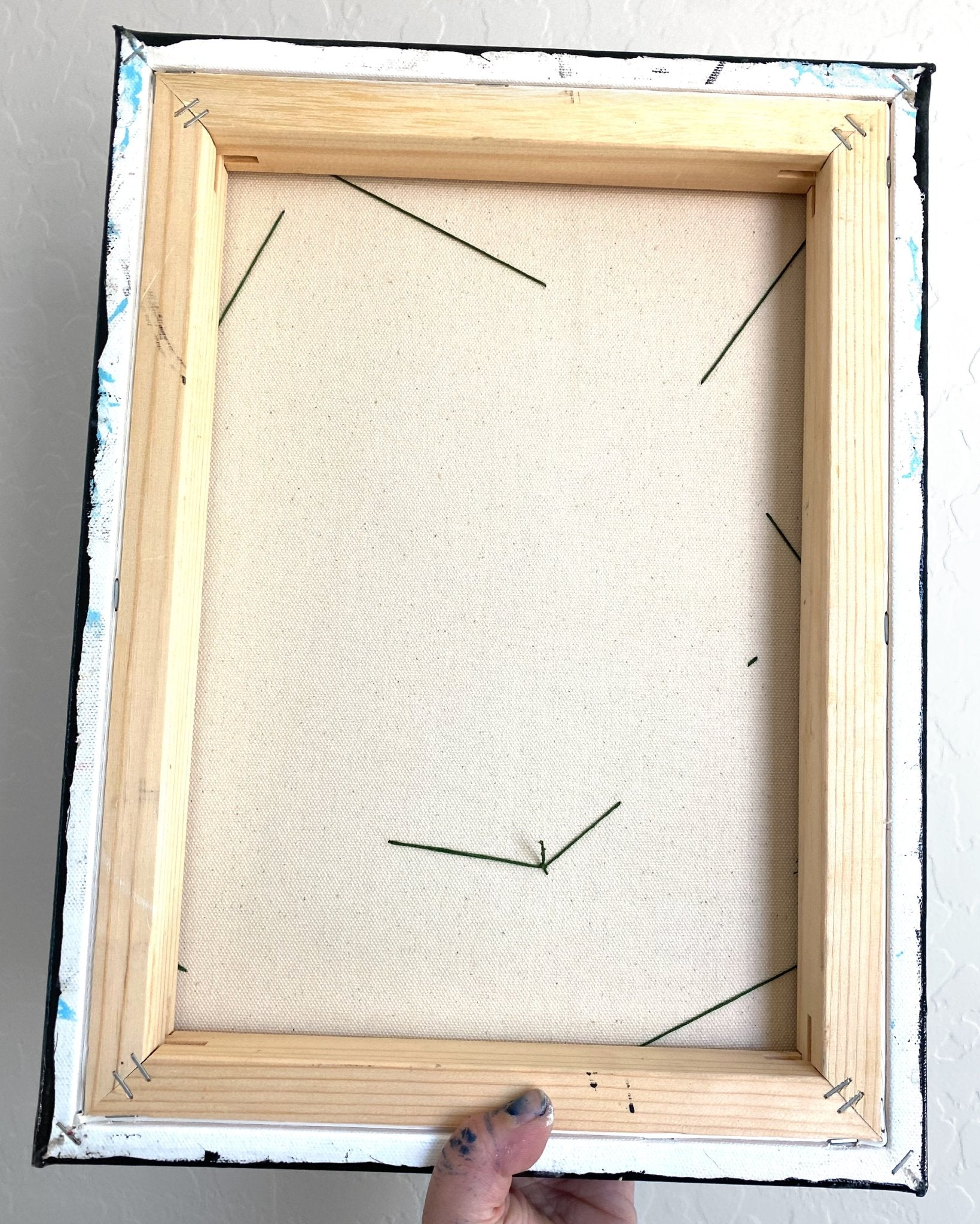 Owl Specimens & Pretty Pines - Heather Freitas